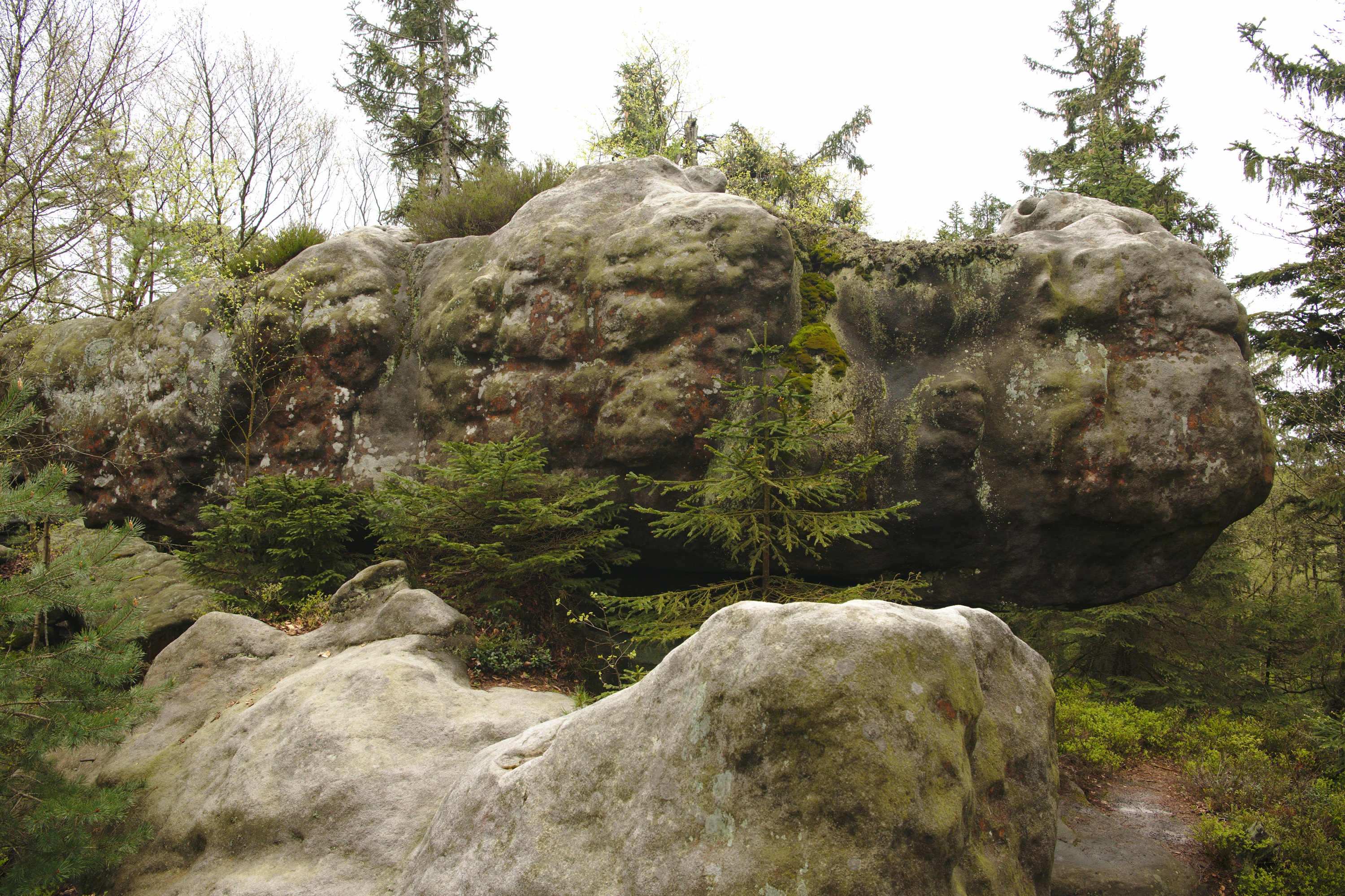 Błędne Skały, Poland