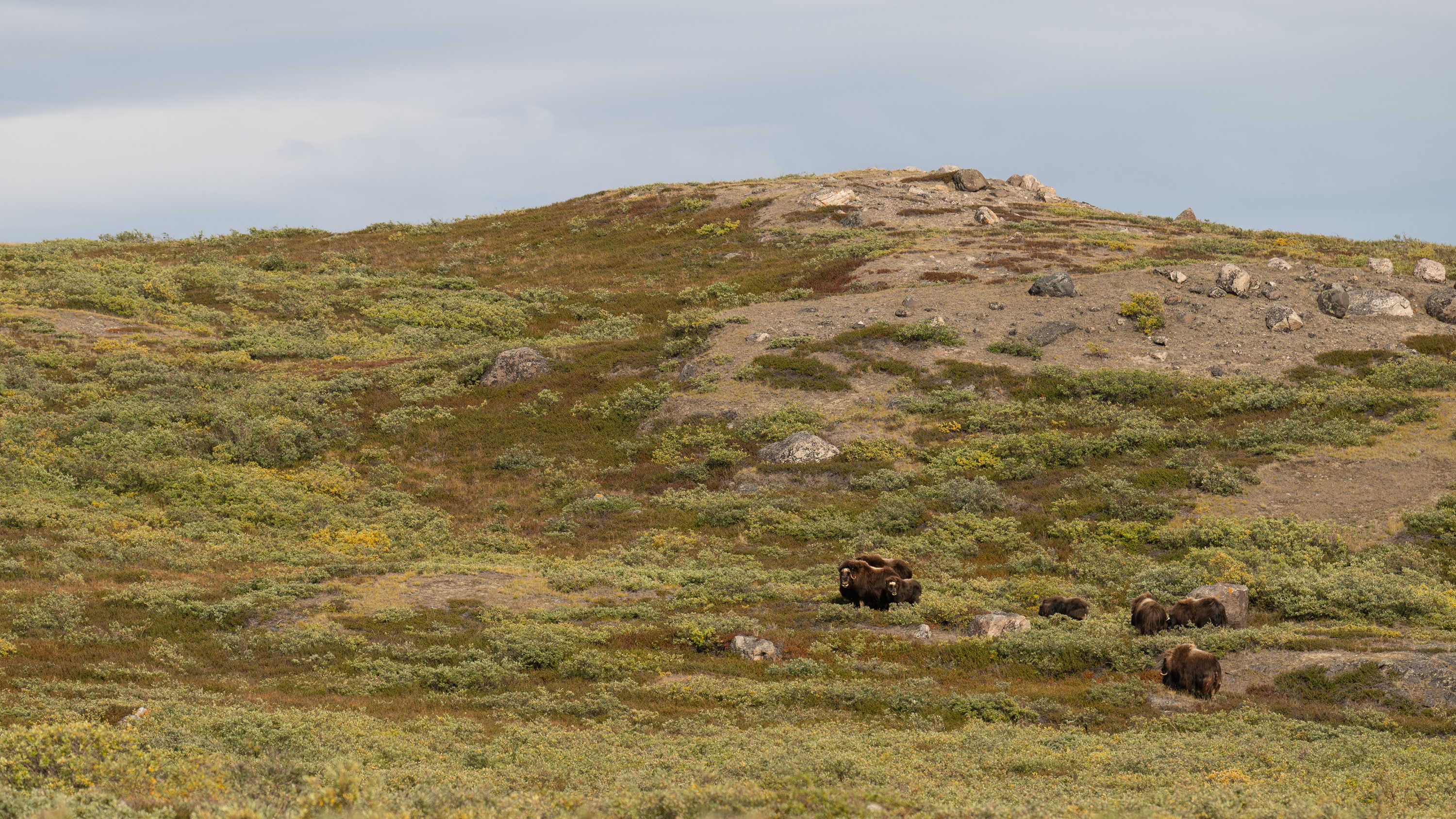 Kangerlussuaq, Greenland