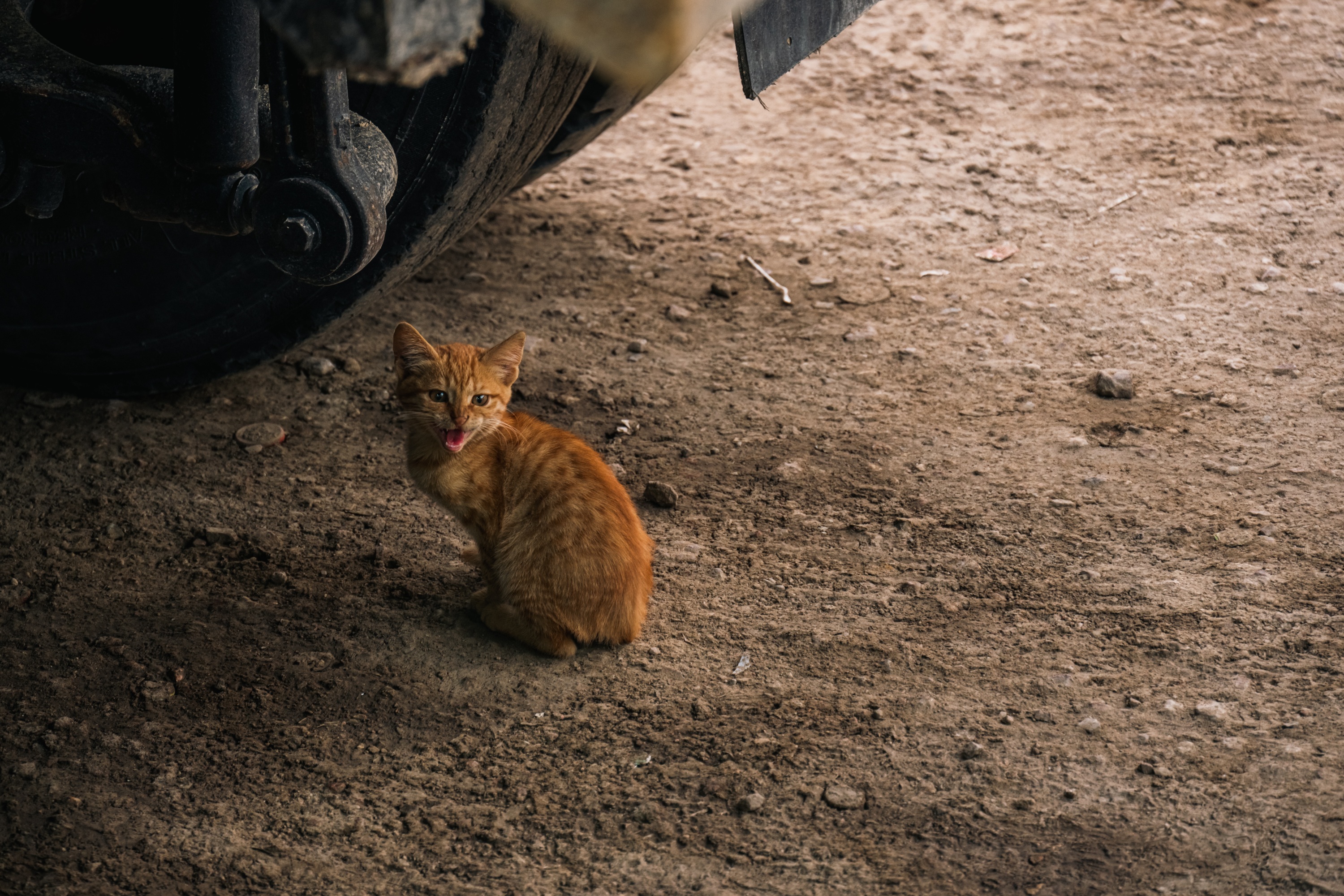 Desert Highway, Jordan