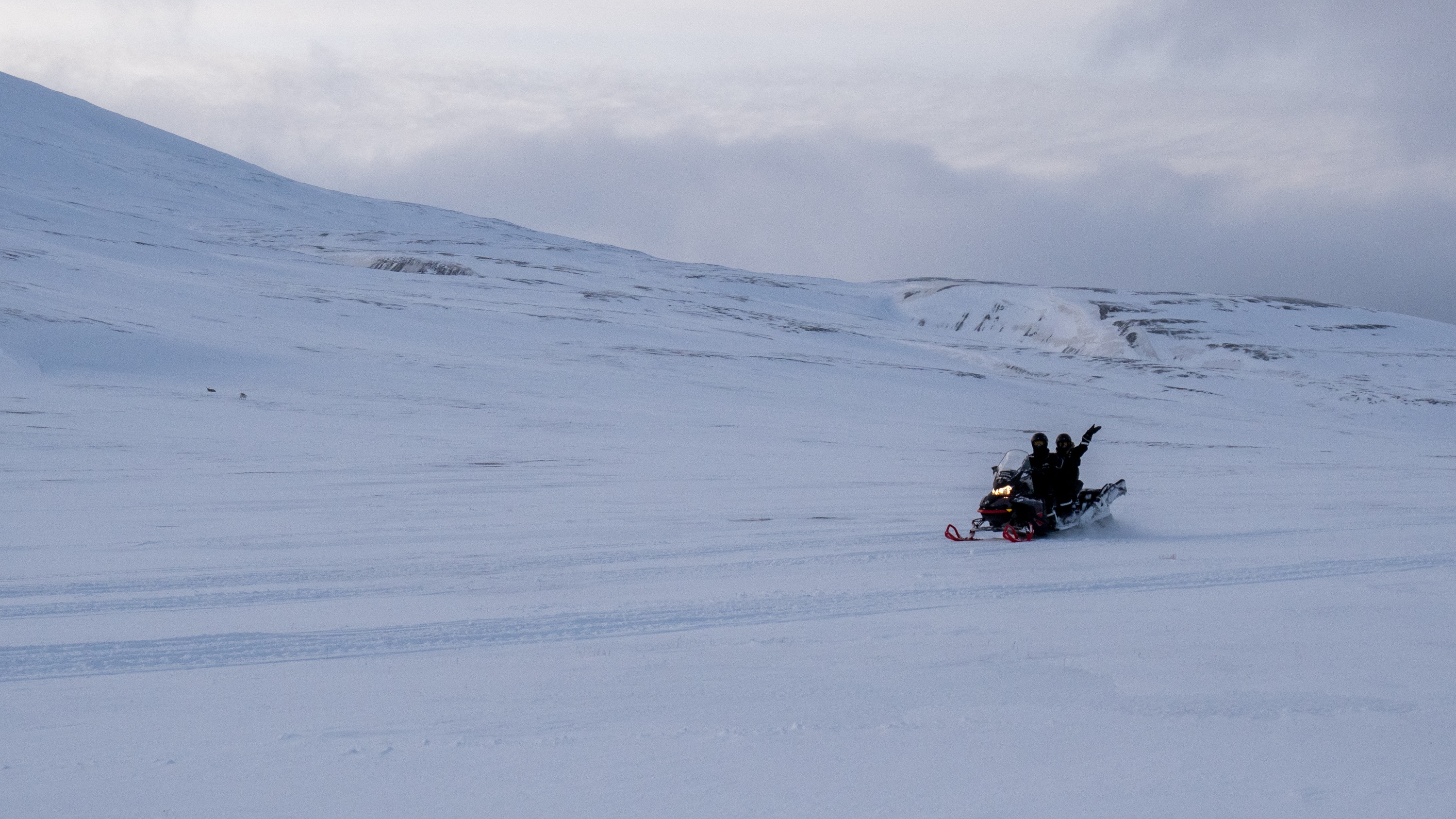 Spitsbergen, Svalbard