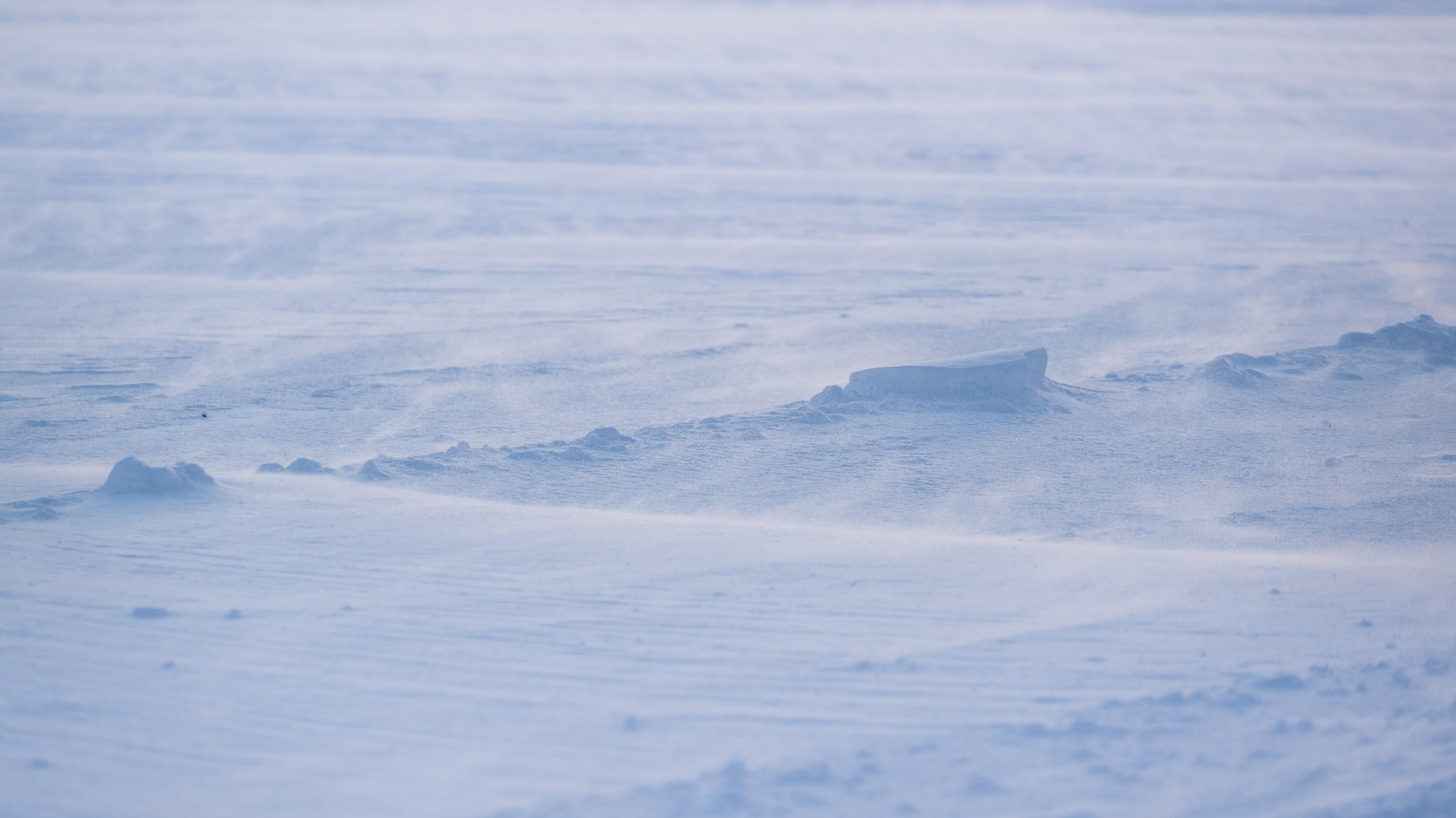 Spitsbergen, Svalbard