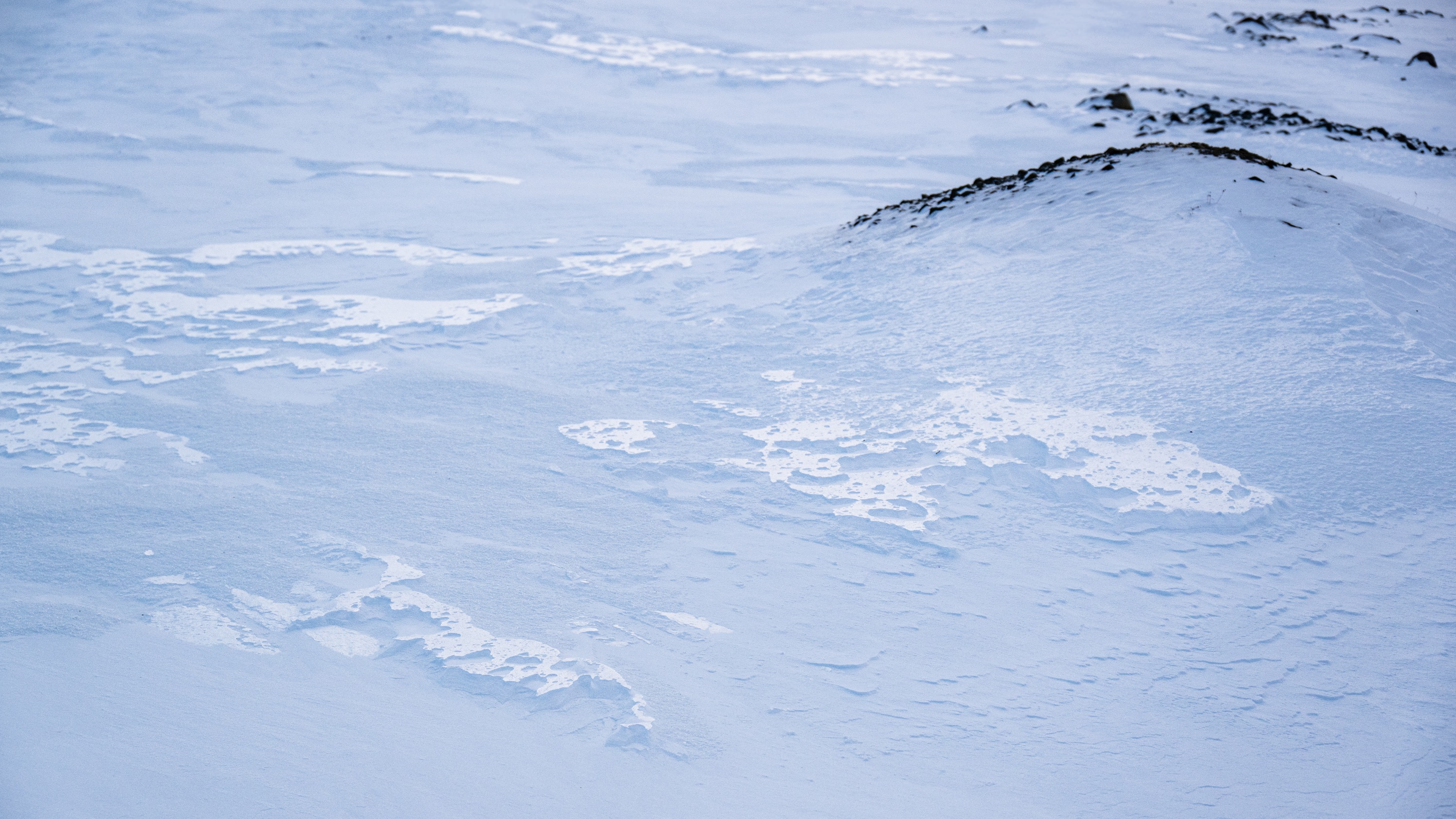 Spitsbergen, Svalbard