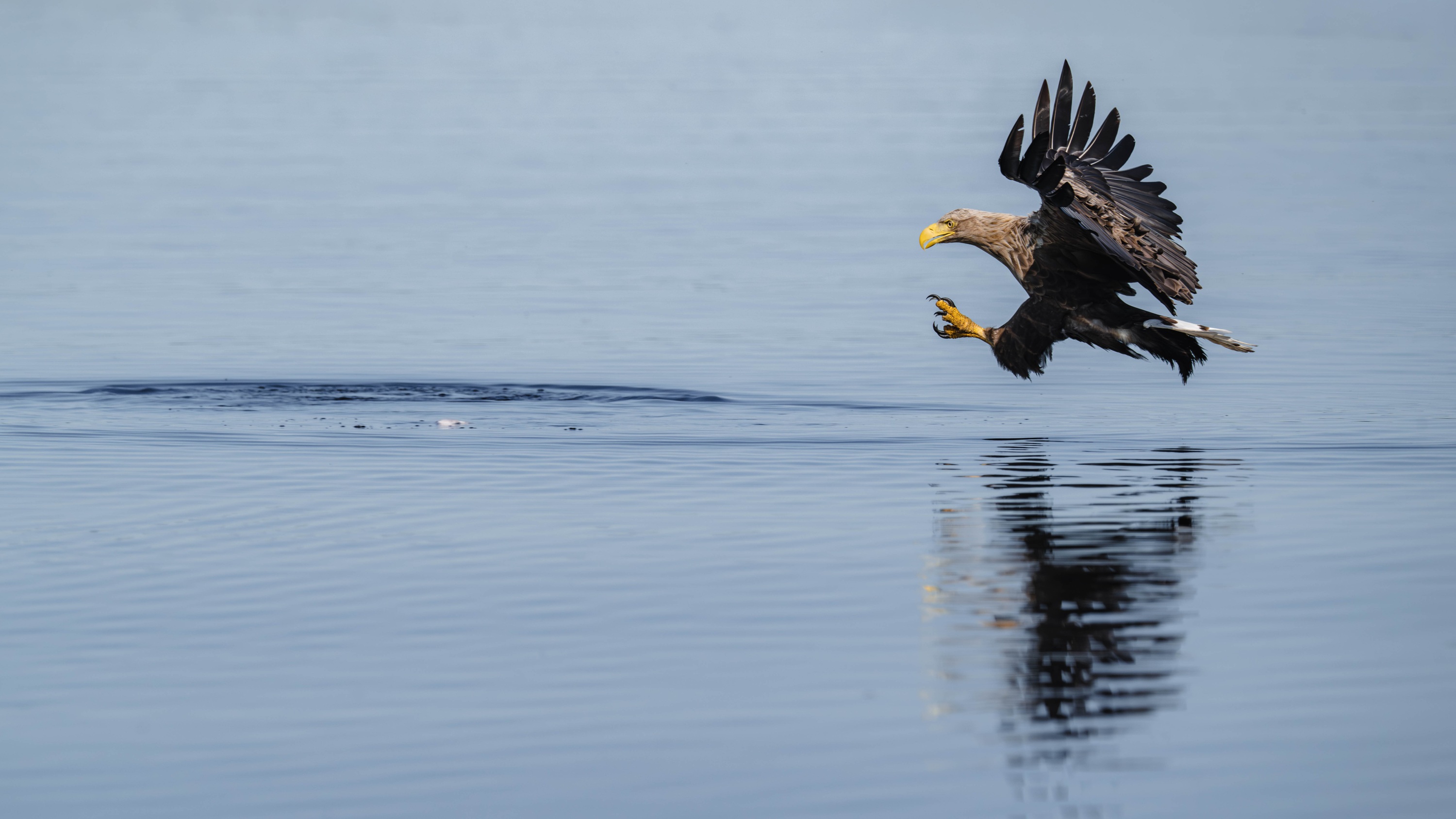 Szczecin Lagoon, Poland