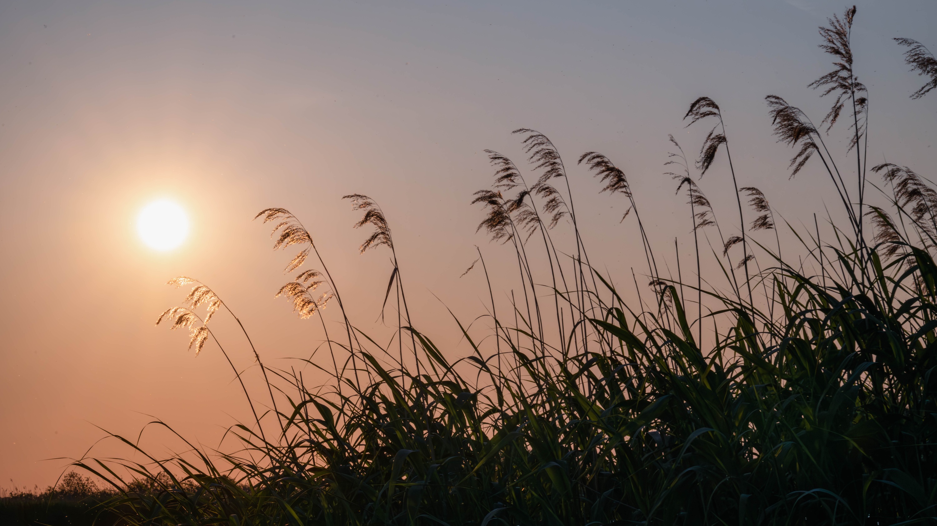 Szczecin Lagoon, Poland
