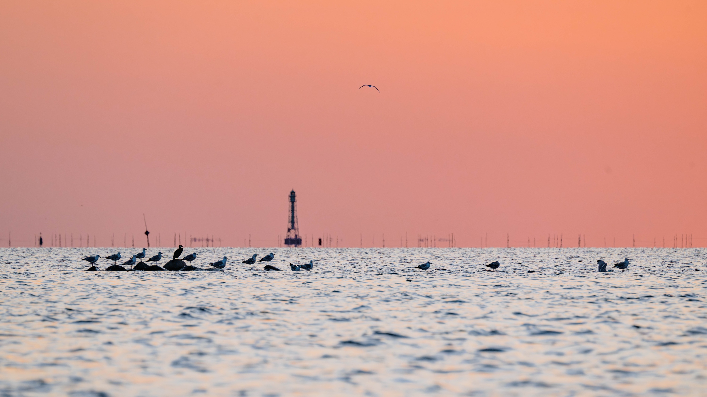 Szczecin Lagoon, Poland