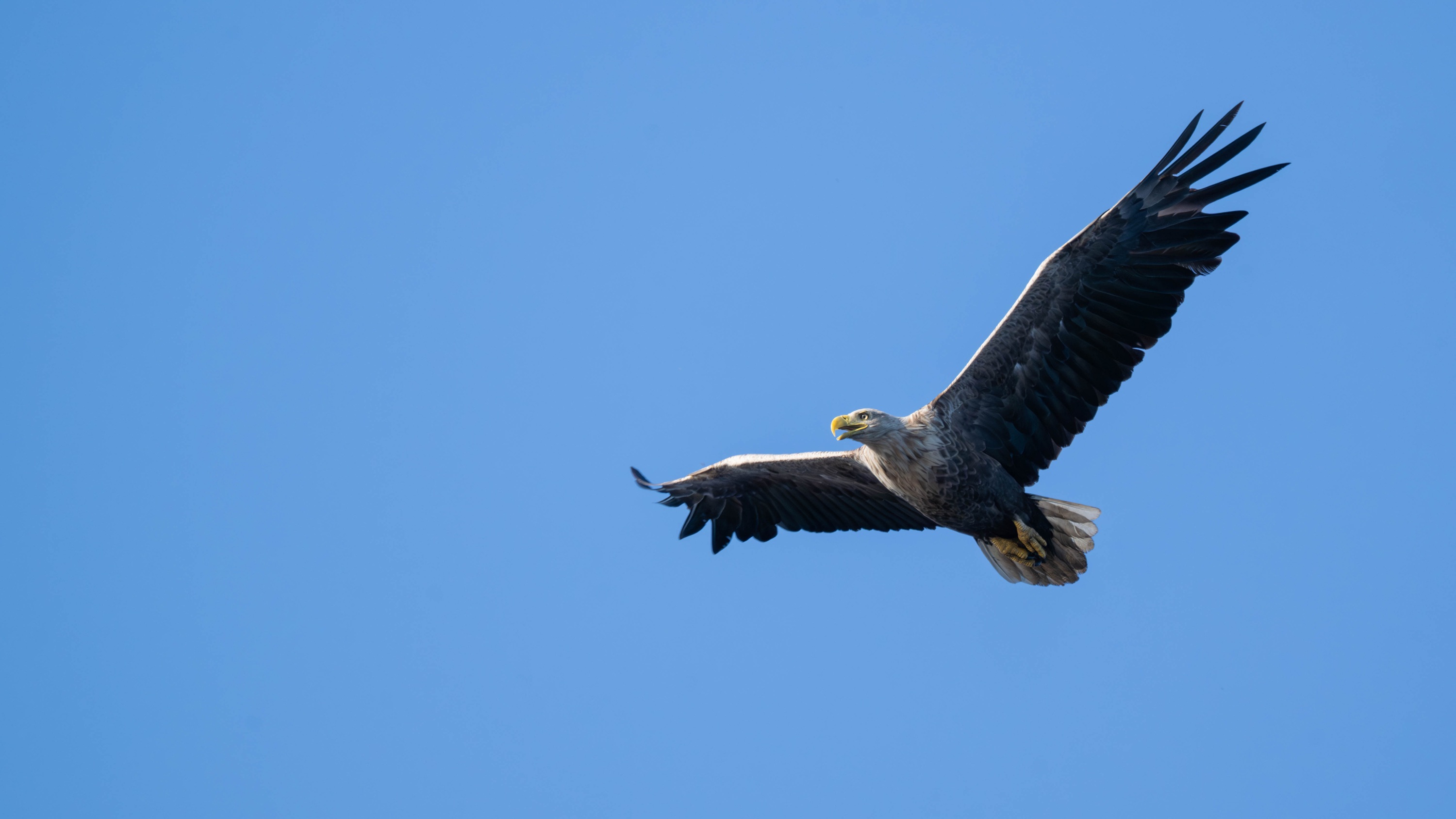 Szczecin Lagoon, Poland