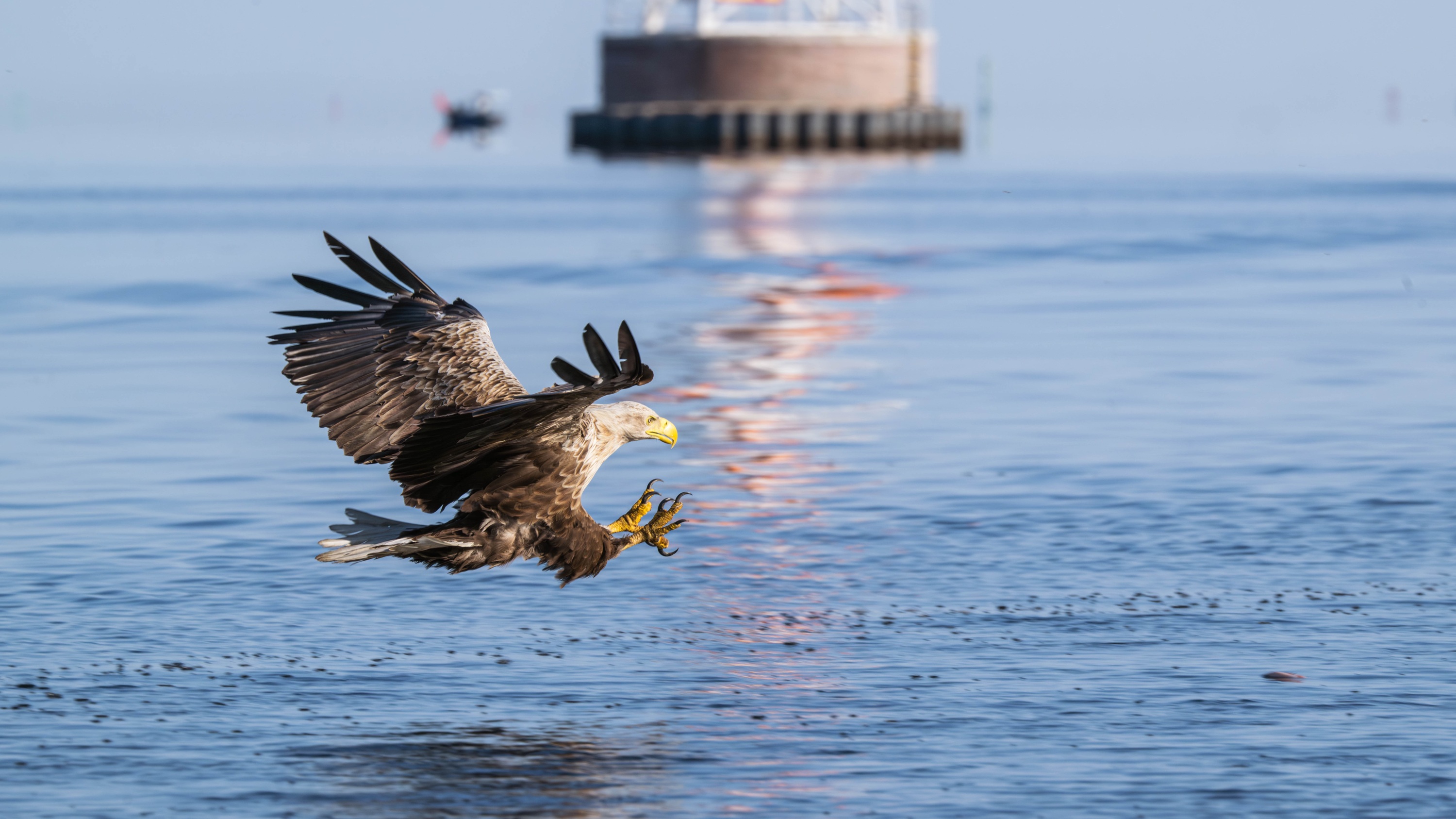 Szczecin Lagoon, Poland