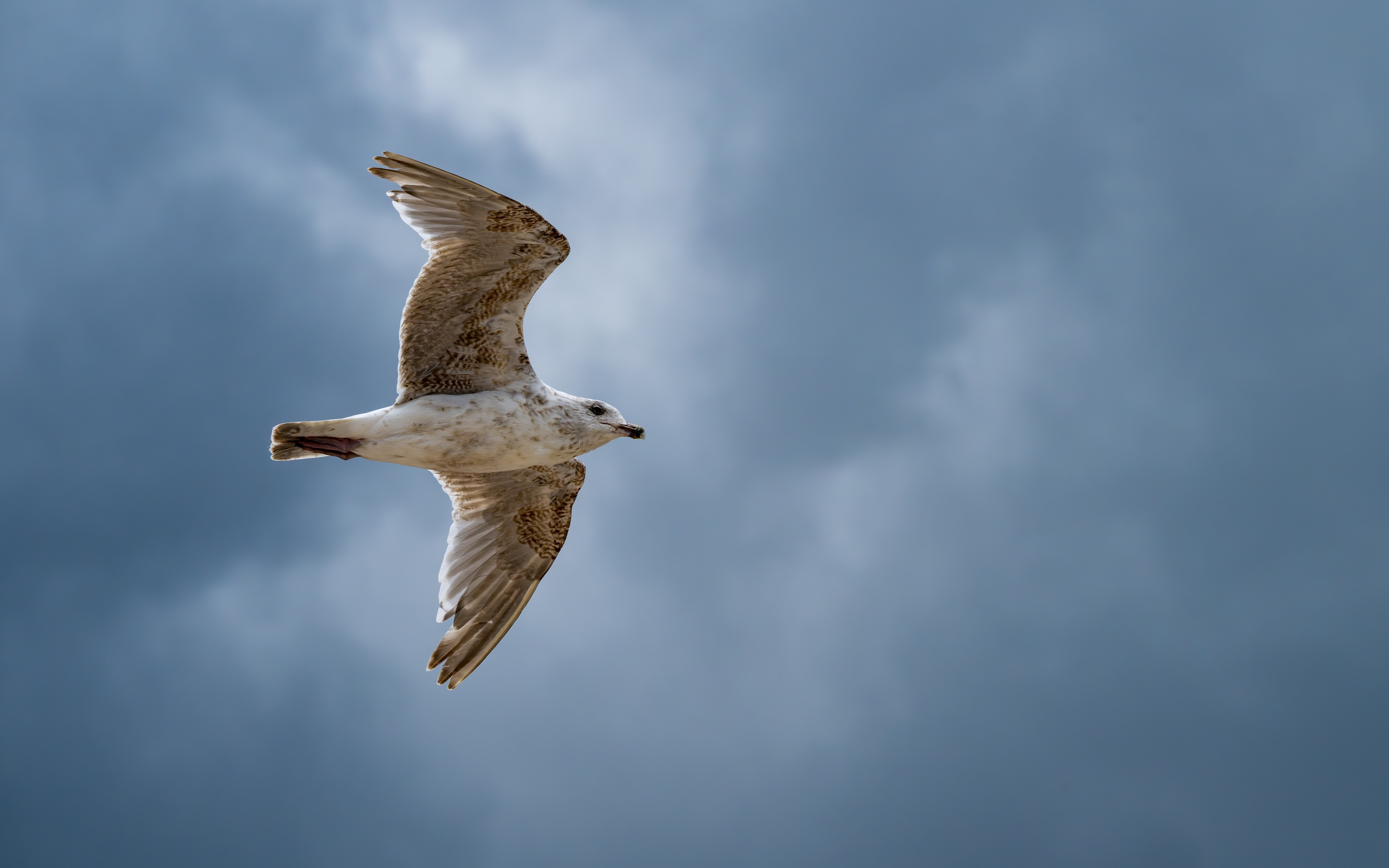 Ustronie Morskie, Poland