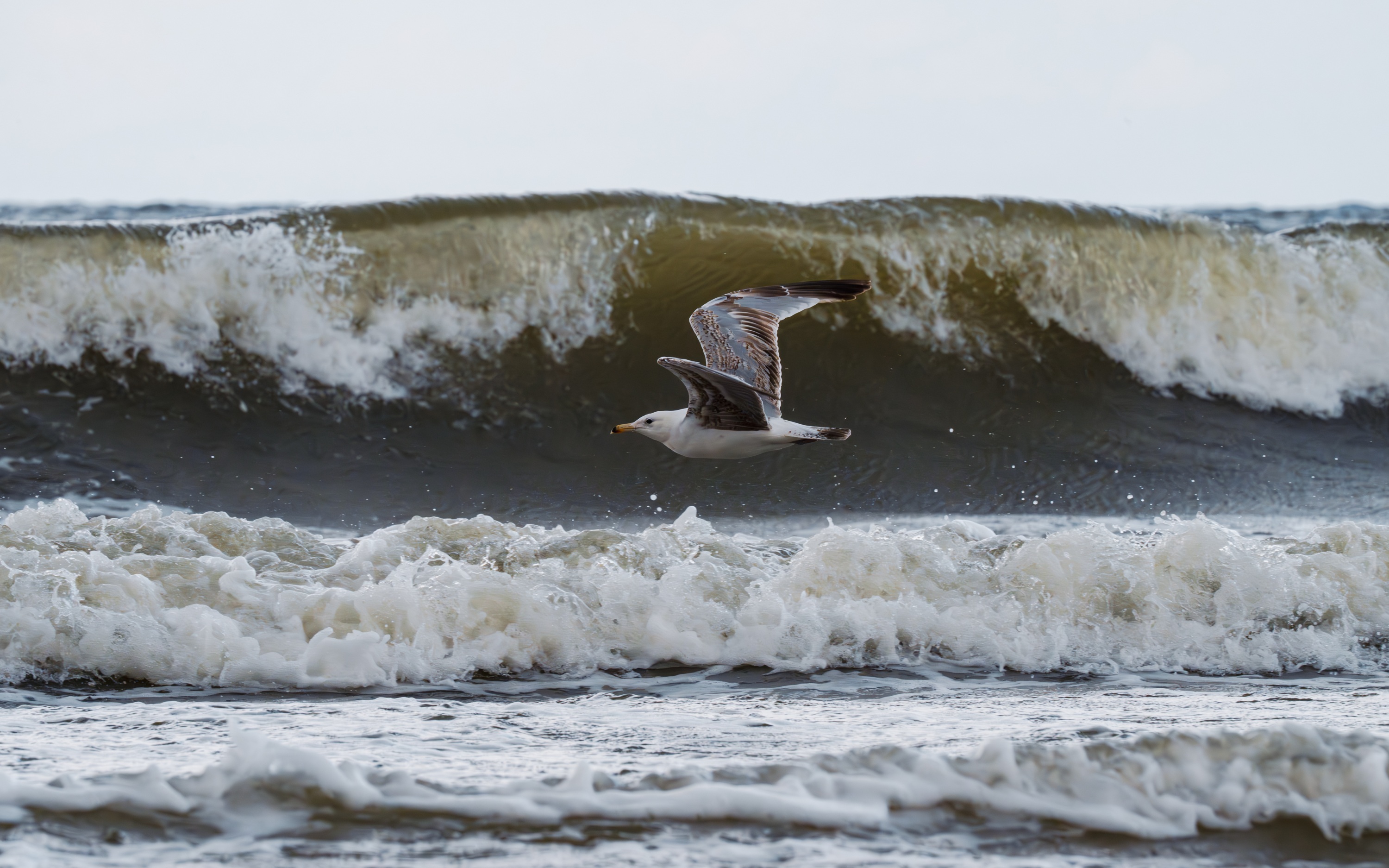 Ustronie Morskie, Poland