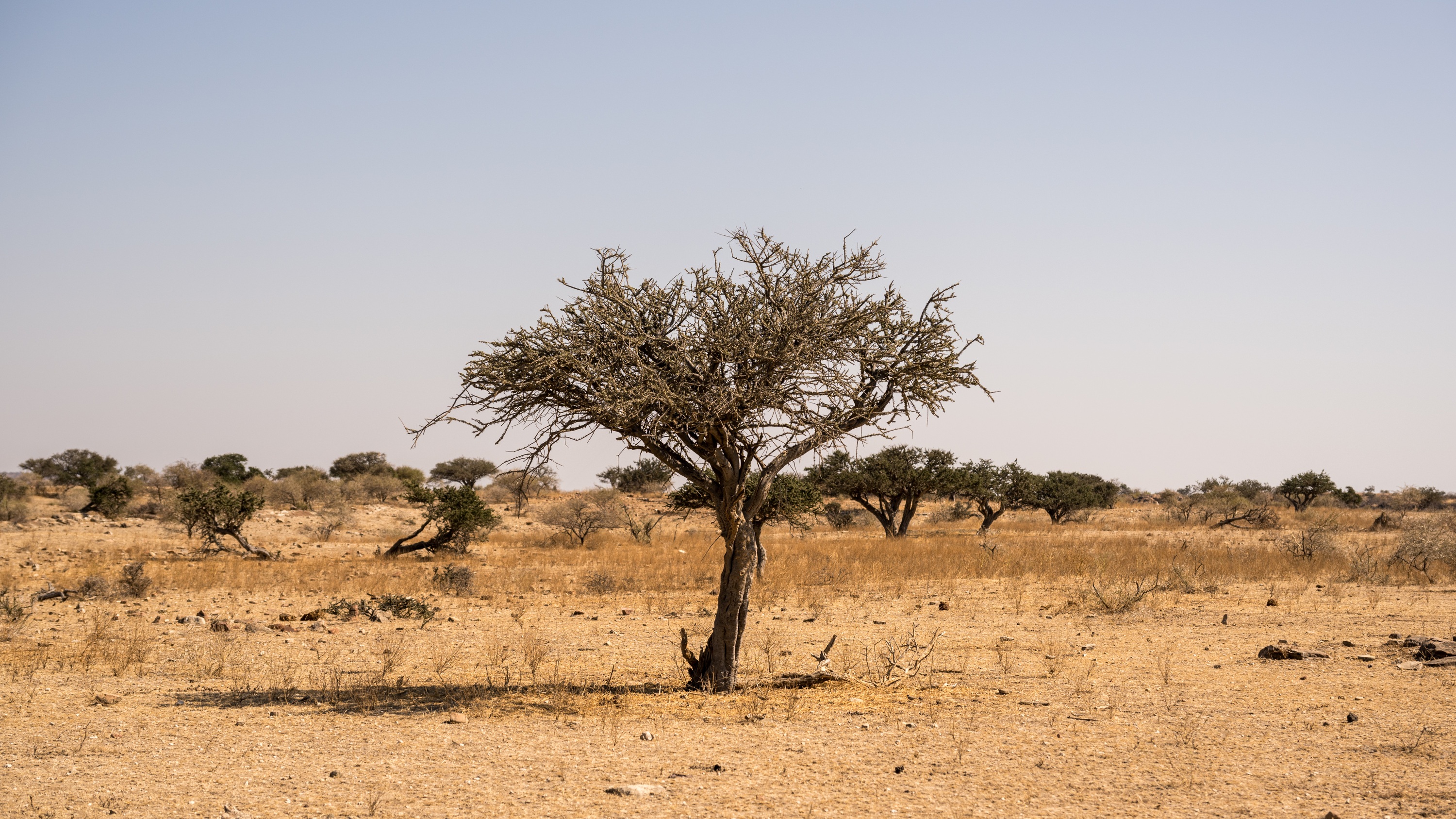 Mashatu Game Reserve, Botswana