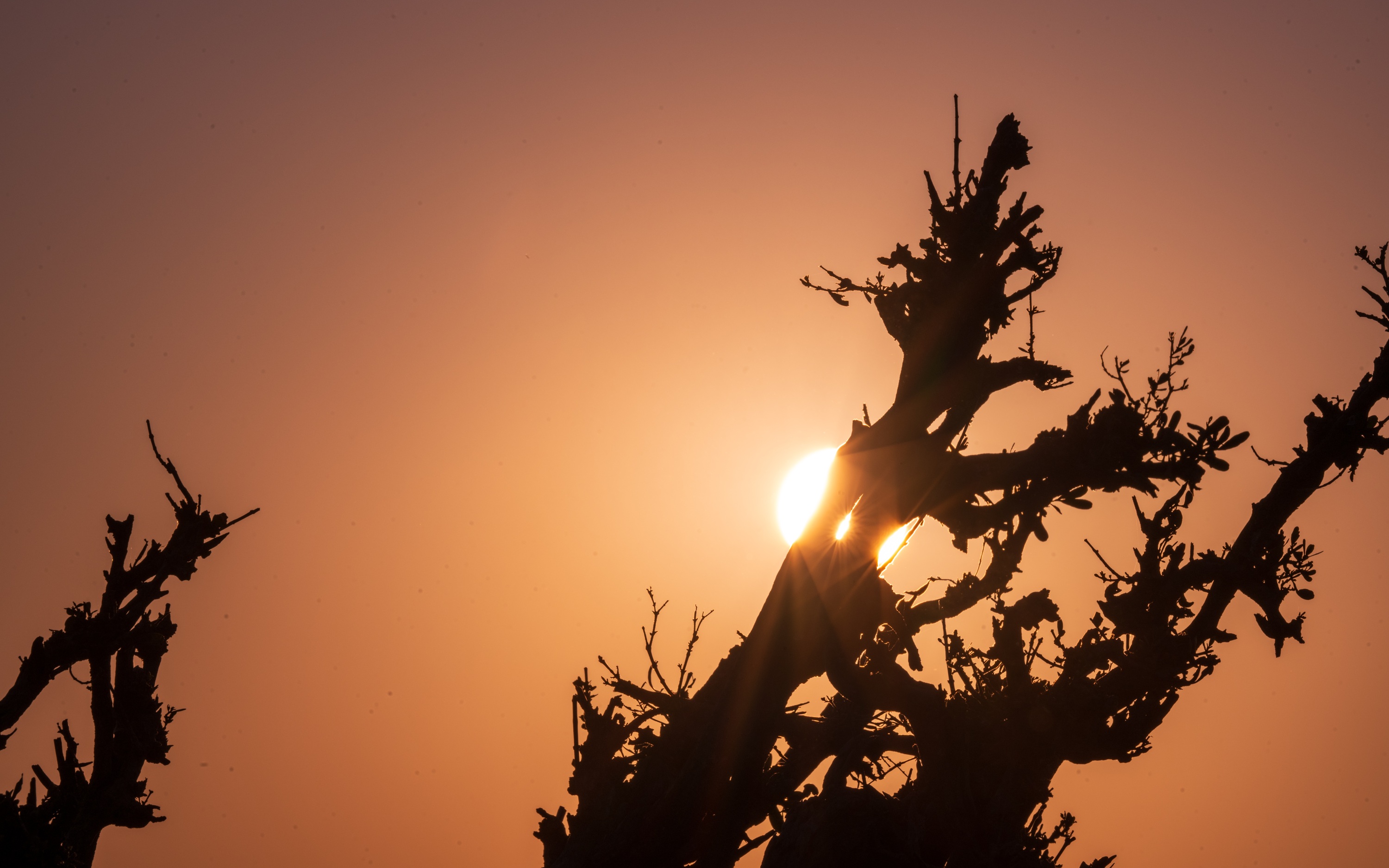 Mashatu Game Reserve, Botswana
