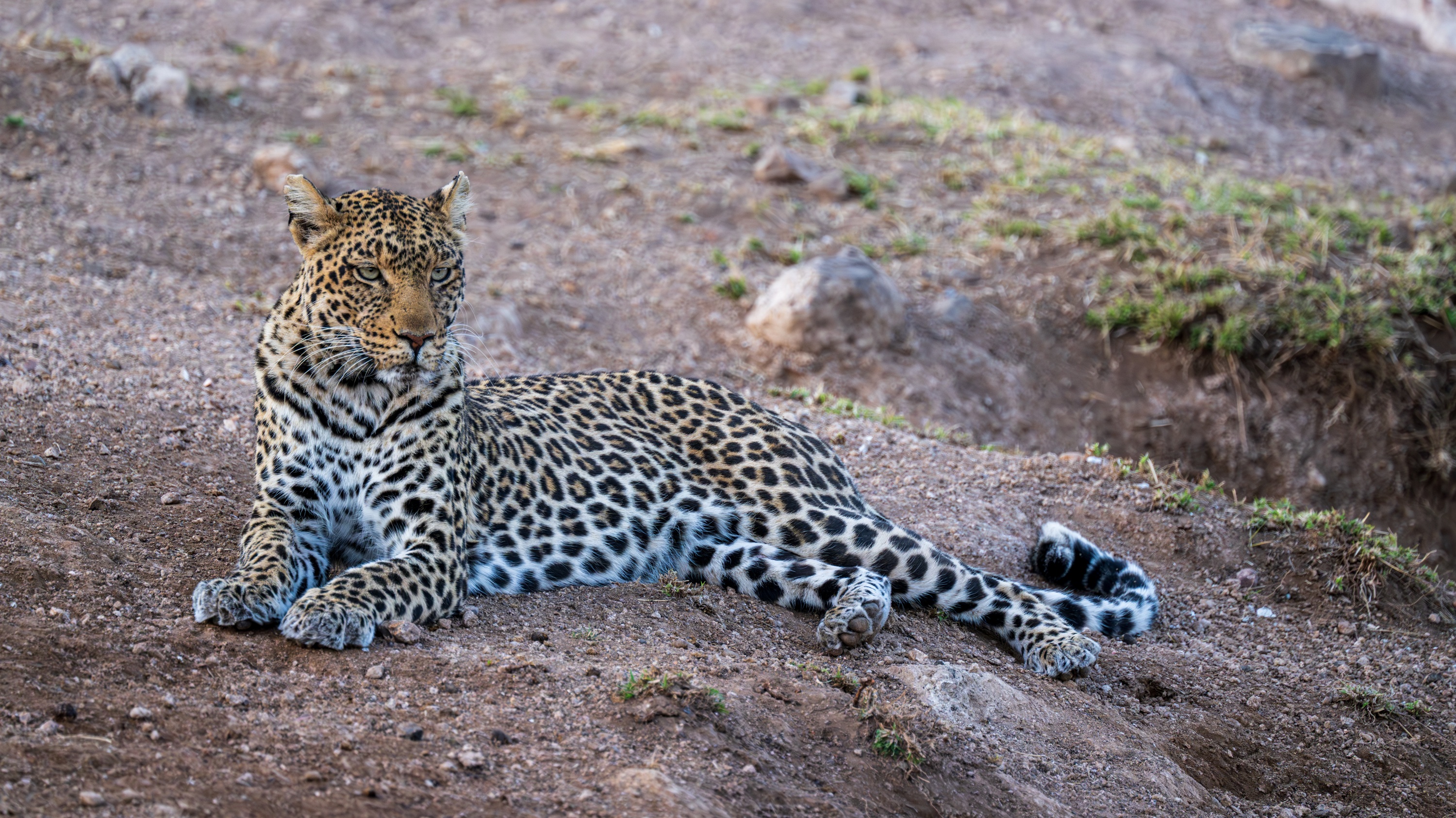 Mashatu Game Reserve, Botswana