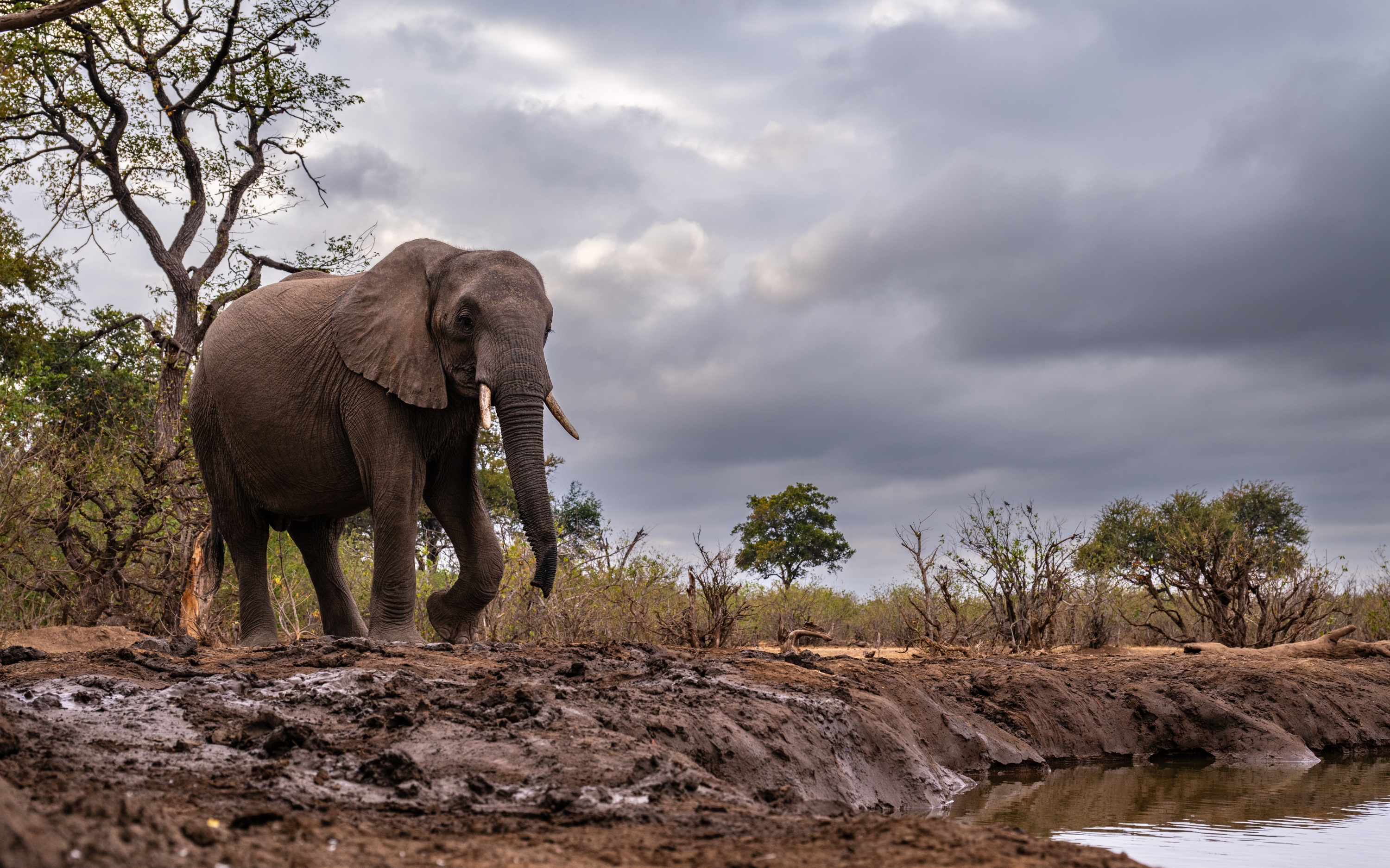 Mashatu Game Reserve, Botswana