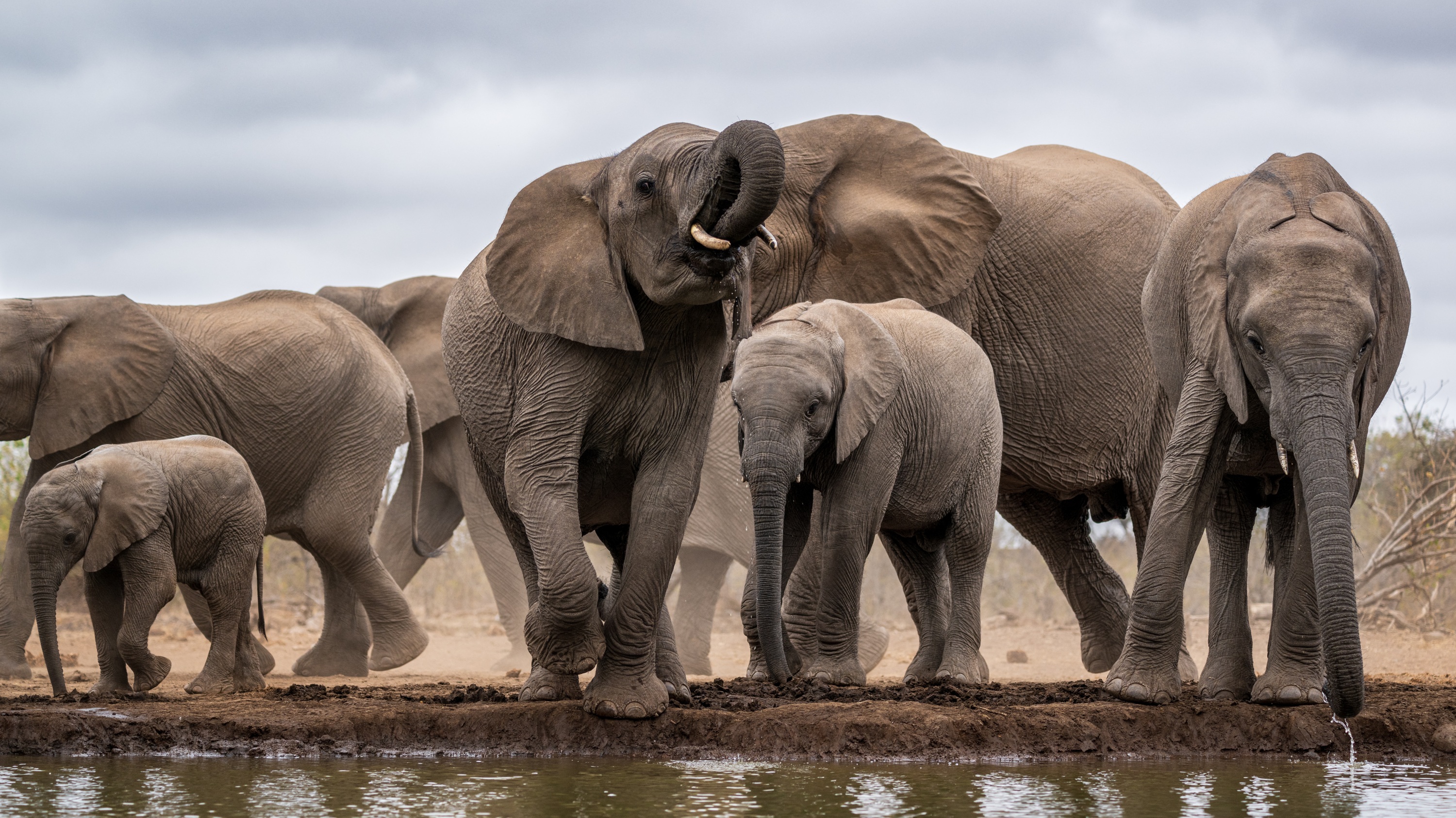 Mashatu Game Reserve, Botswana