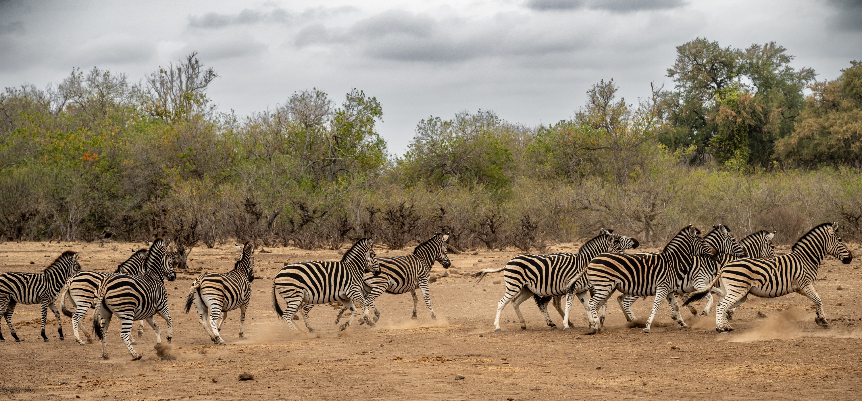 Mashatu Game Reserve, Botswana