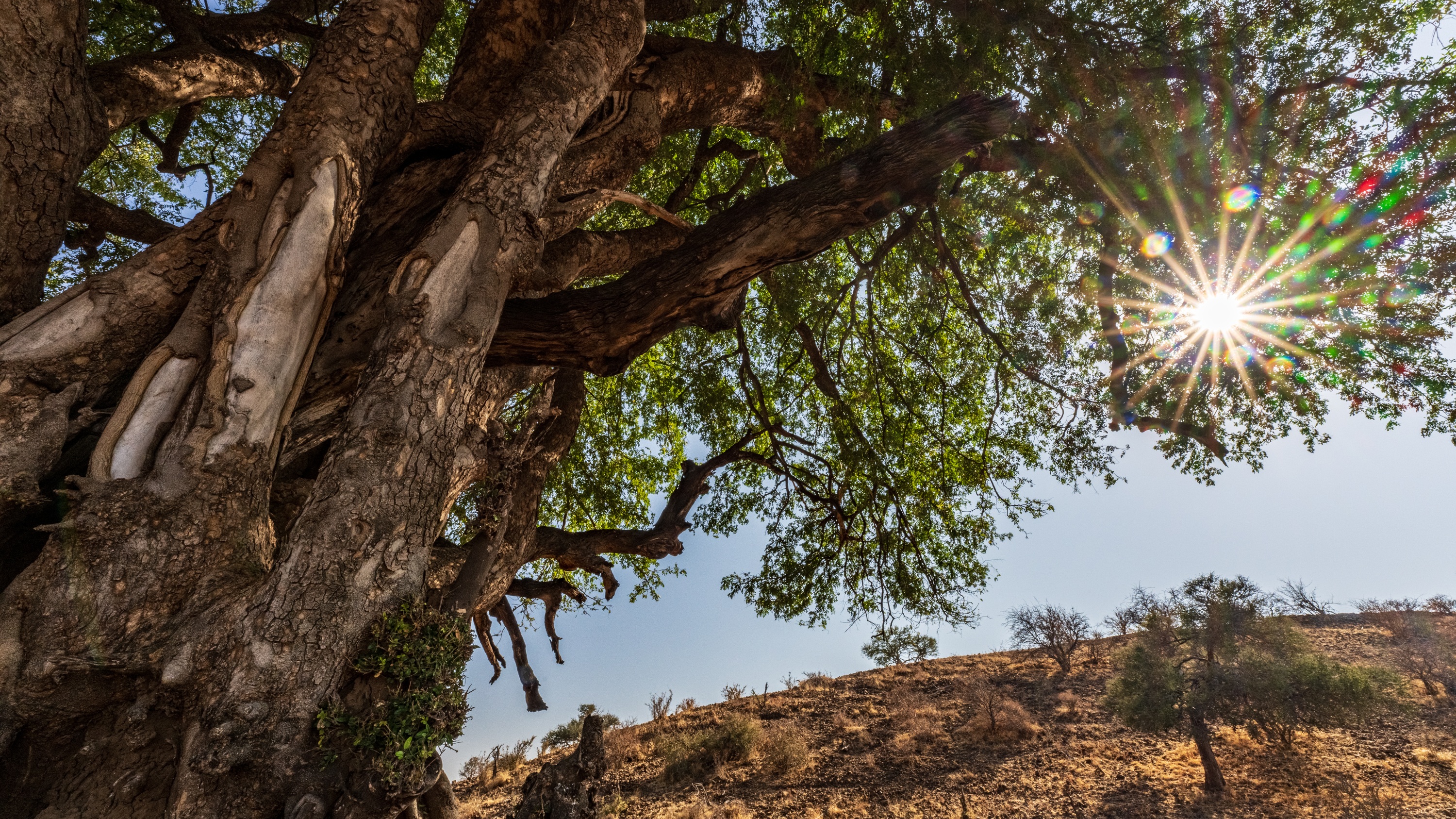 Mashatu Game Reserve, Botswana