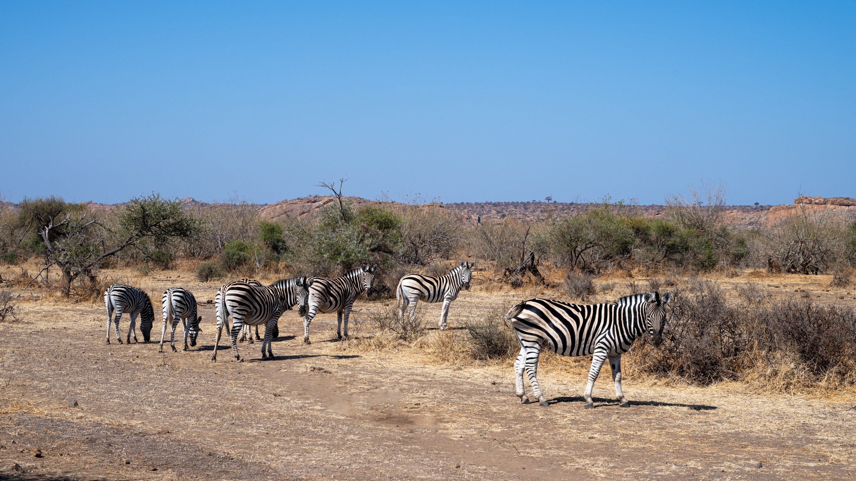 Mashatu Game Reserve, Botswana