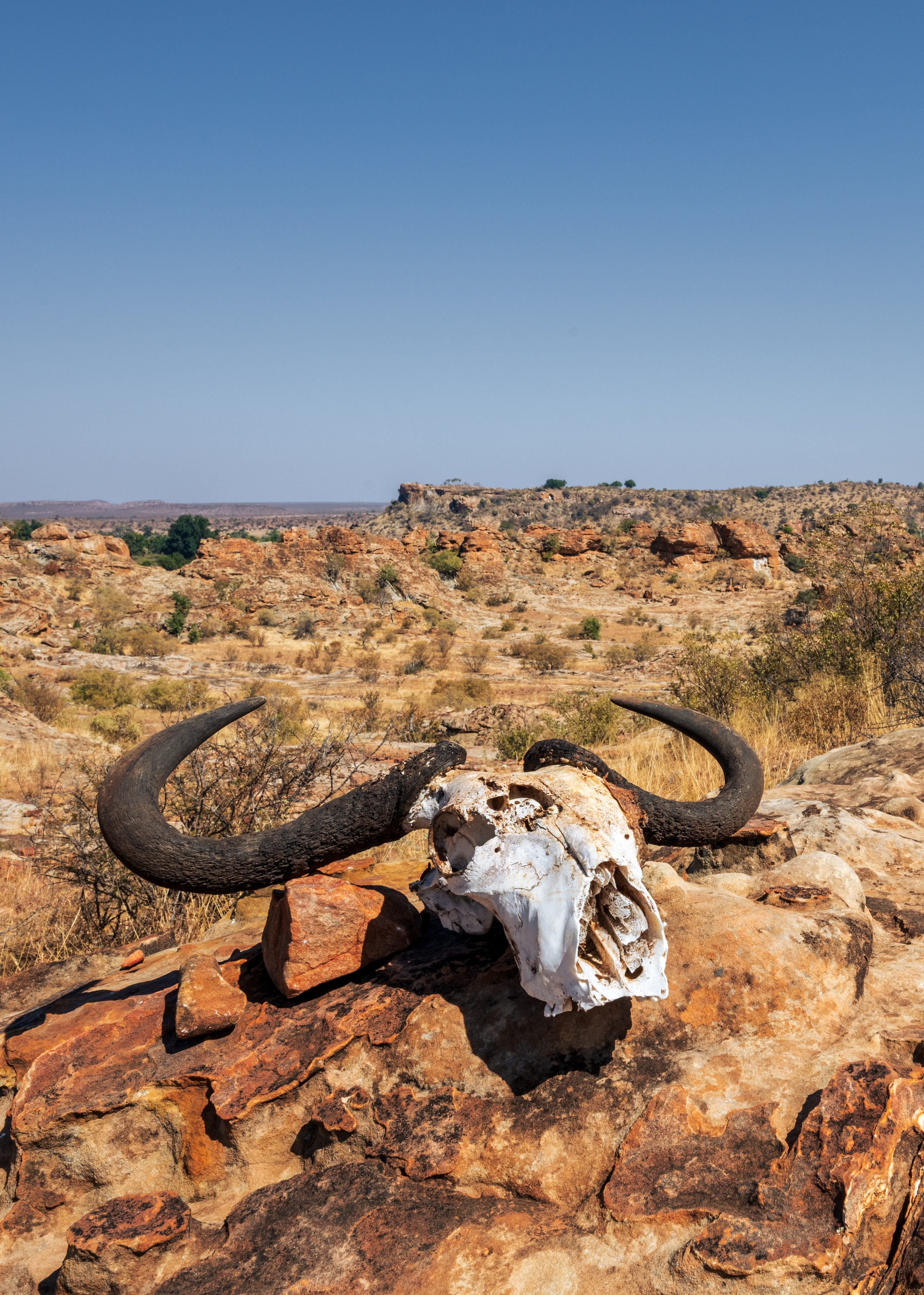 Mashatu Game Reserve, Botswana