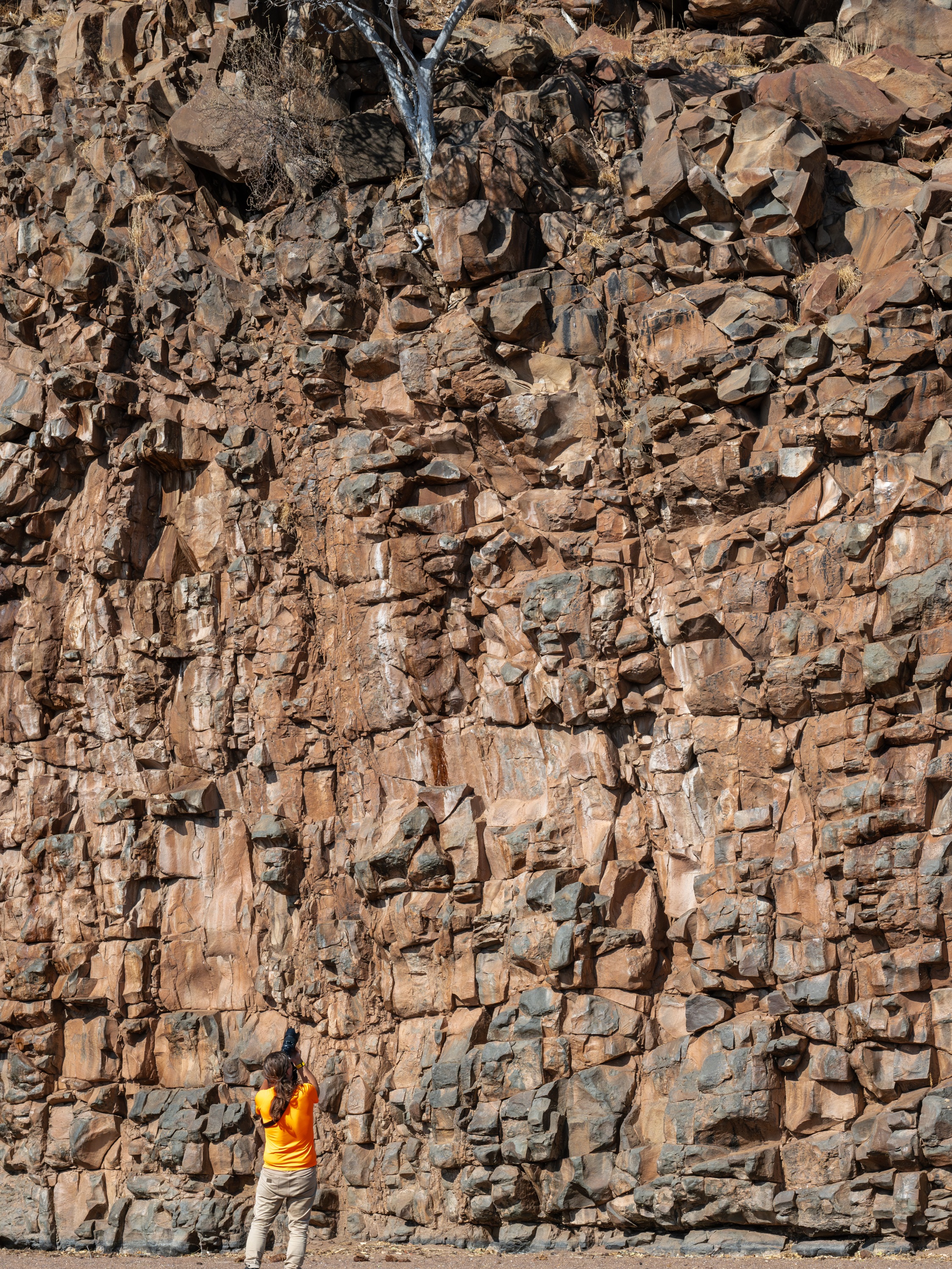 Mashatu Game Reserve, Botswana