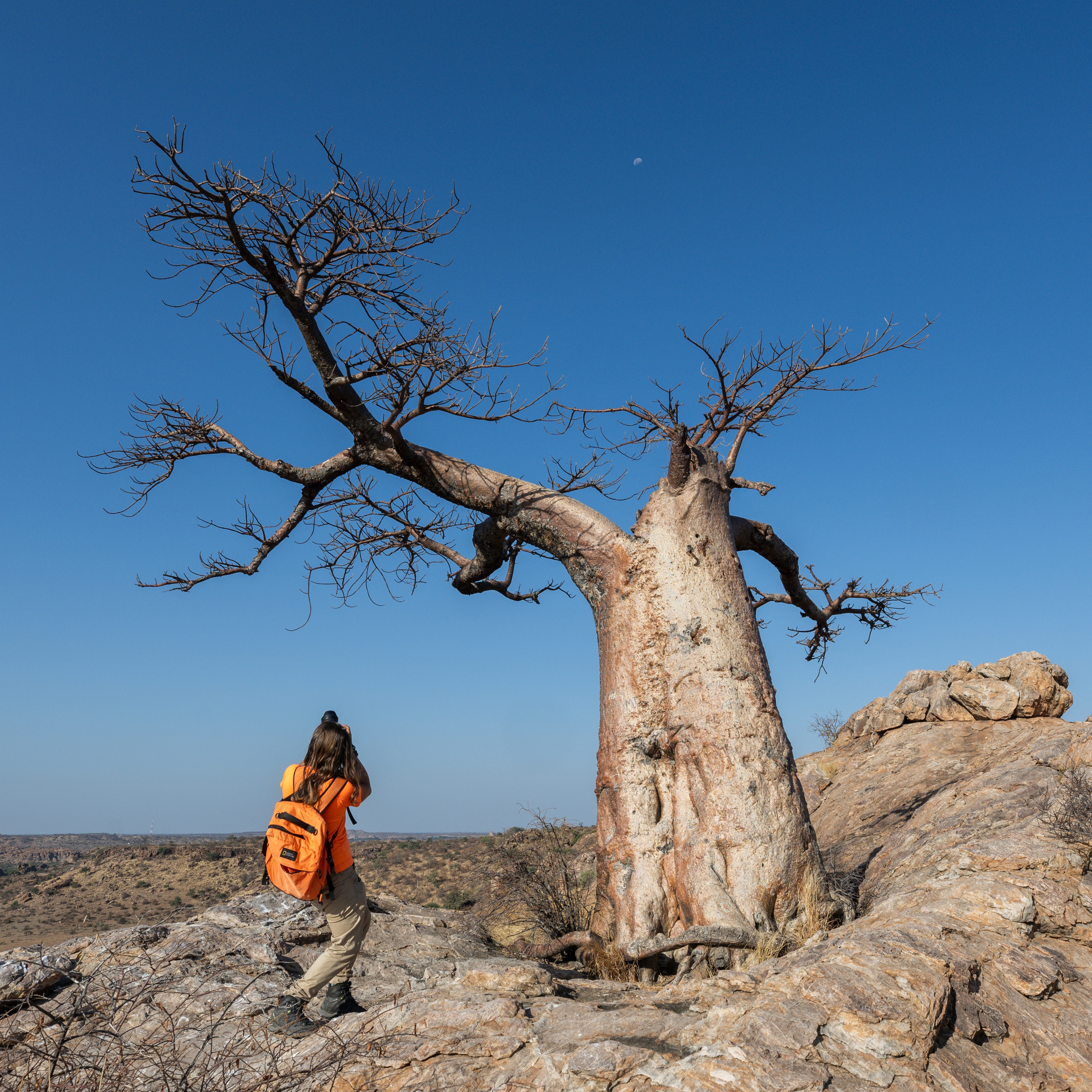 Mashatu Game Reserve, Botswana