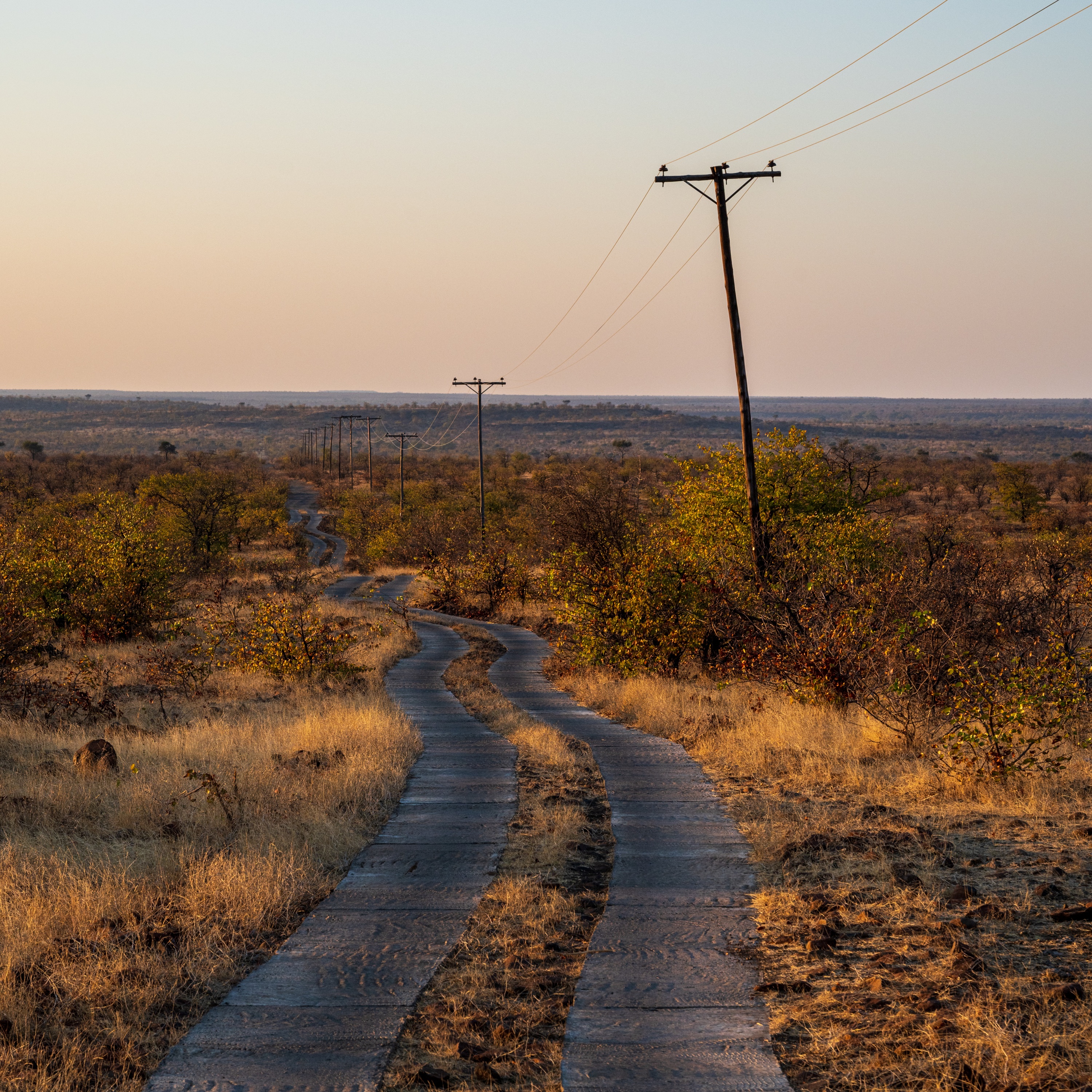Mashatu Game Reserve, Botswana