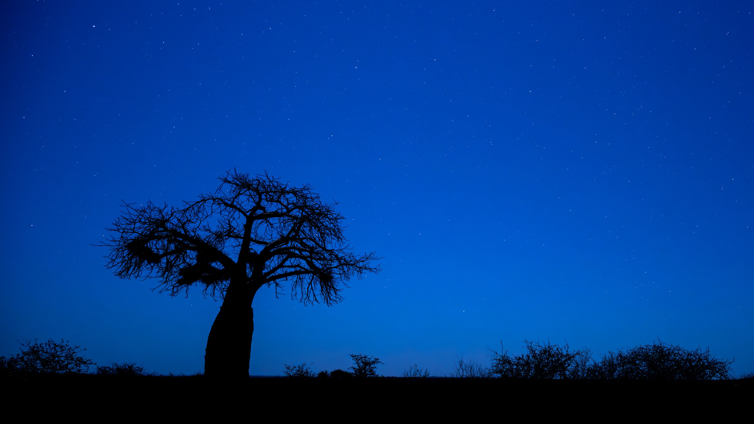 Mashatu Game Reserve, Botswana