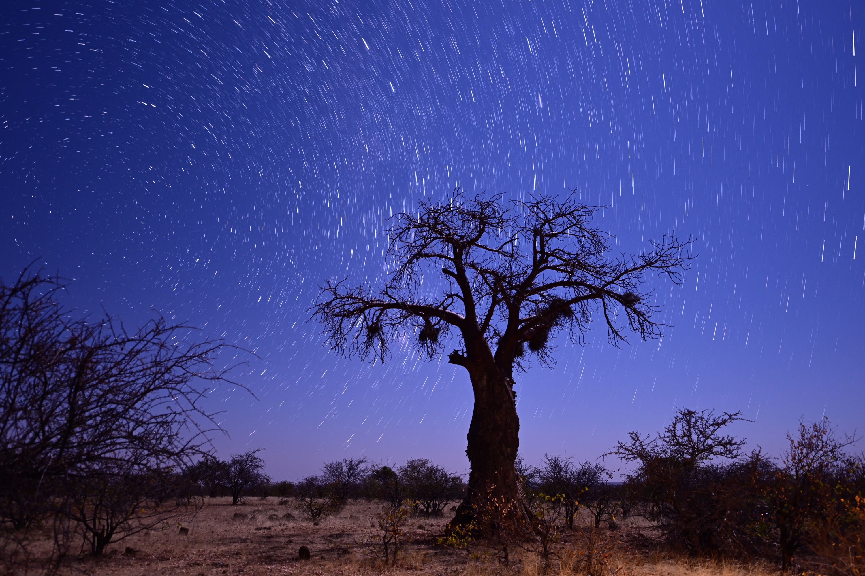 Mashatu Game Reserve, Botswana