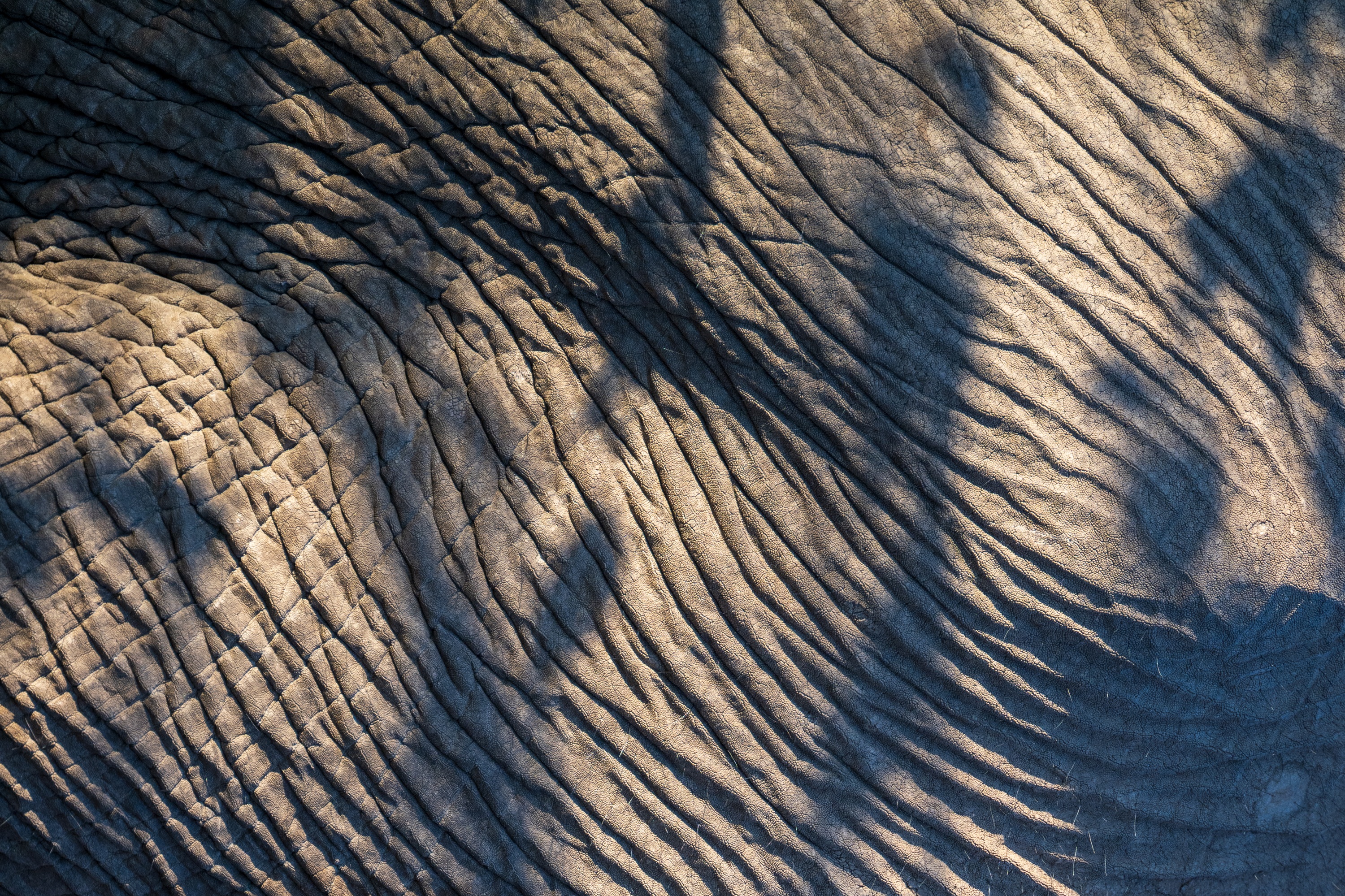 Mashatu Game Reserve, Botswana