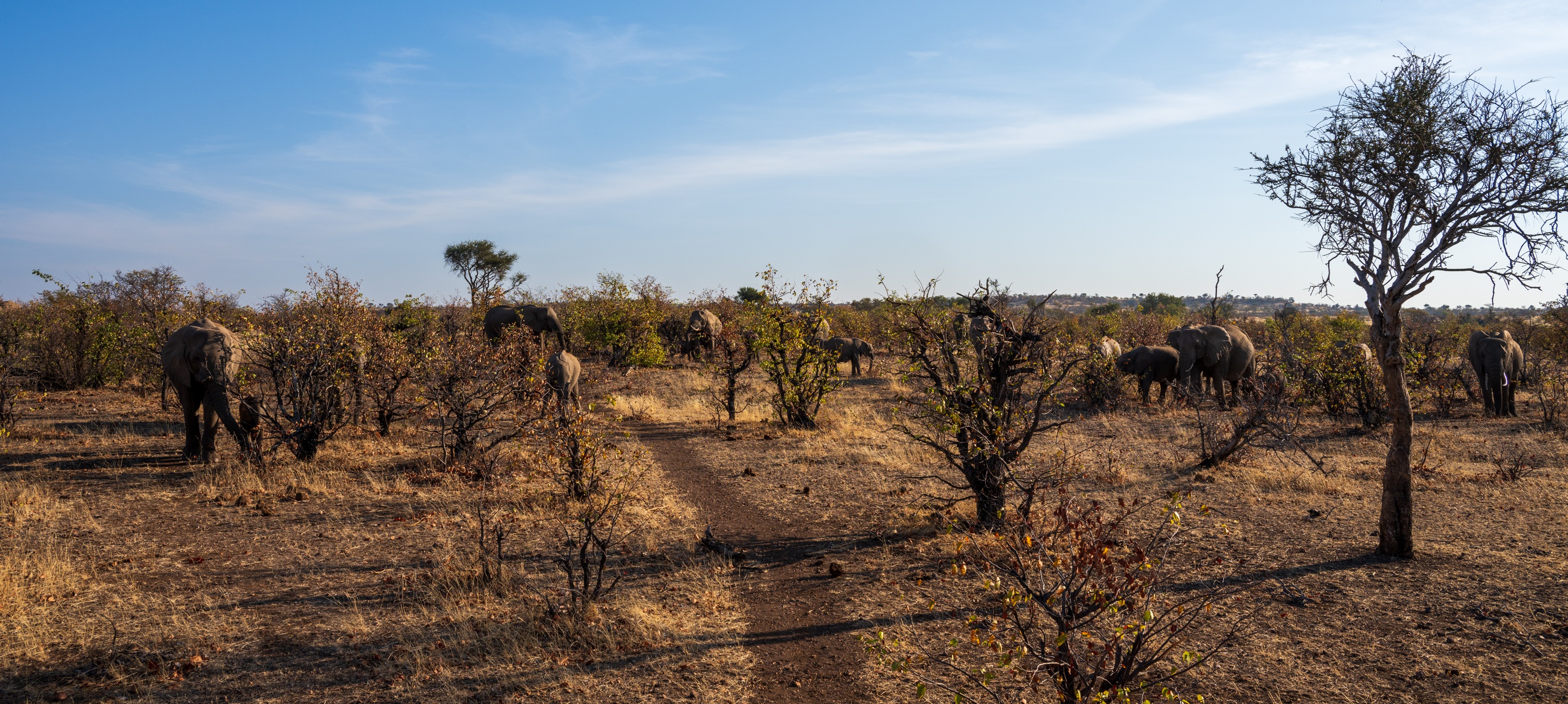 Mashatu Game Reserve, Botswana