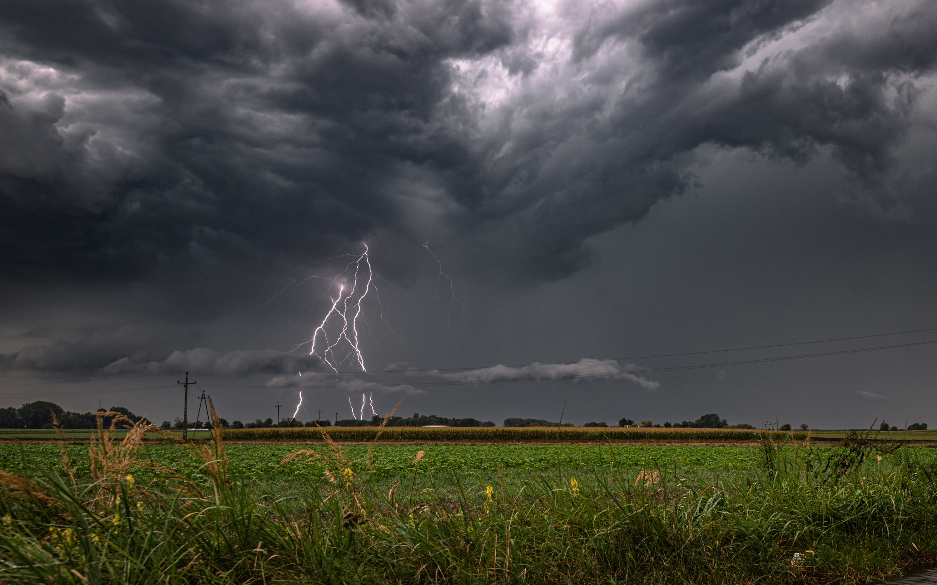 Greater Poland Voivodeship, Poland