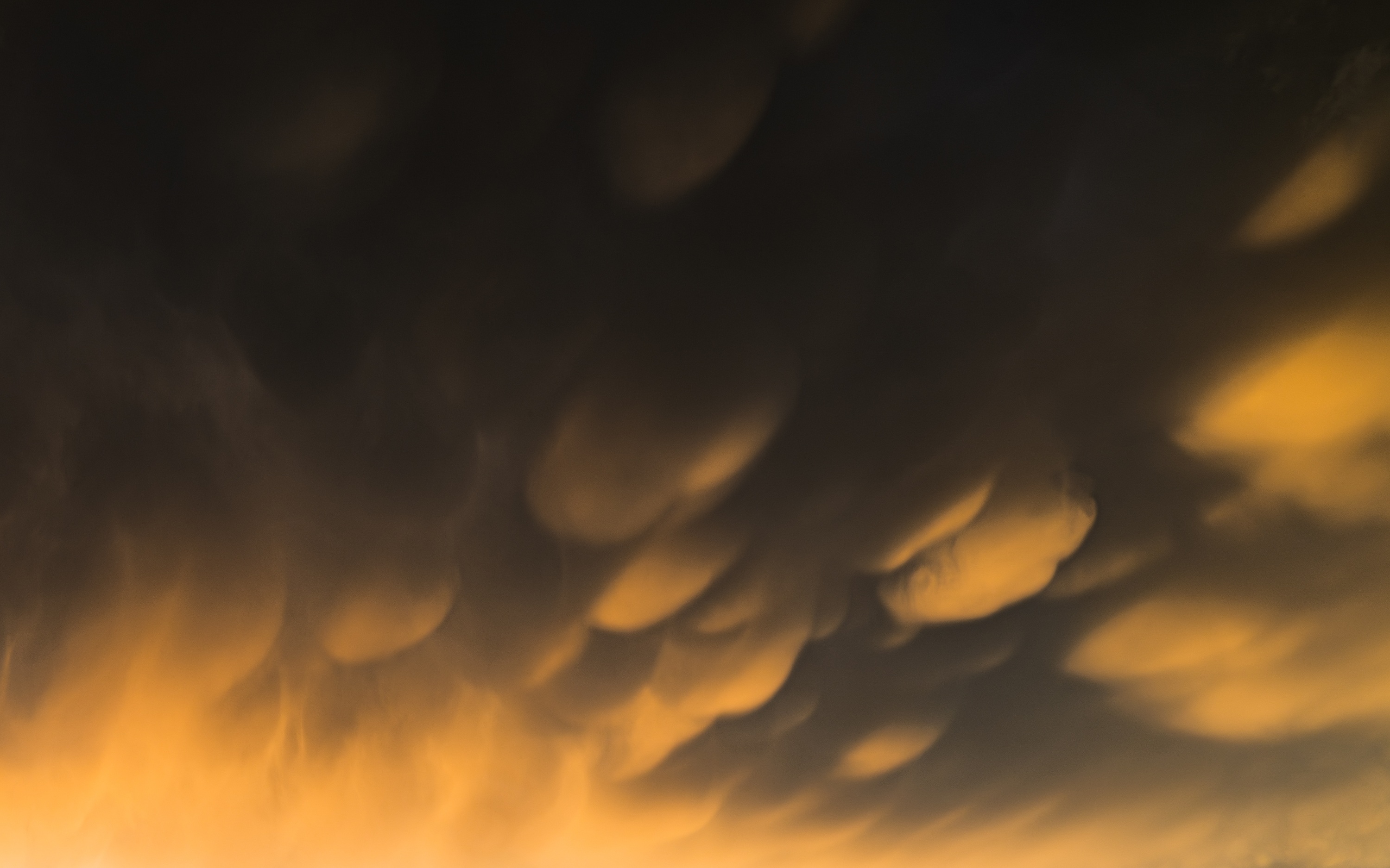 Greater Poland Voivodeship, Poland