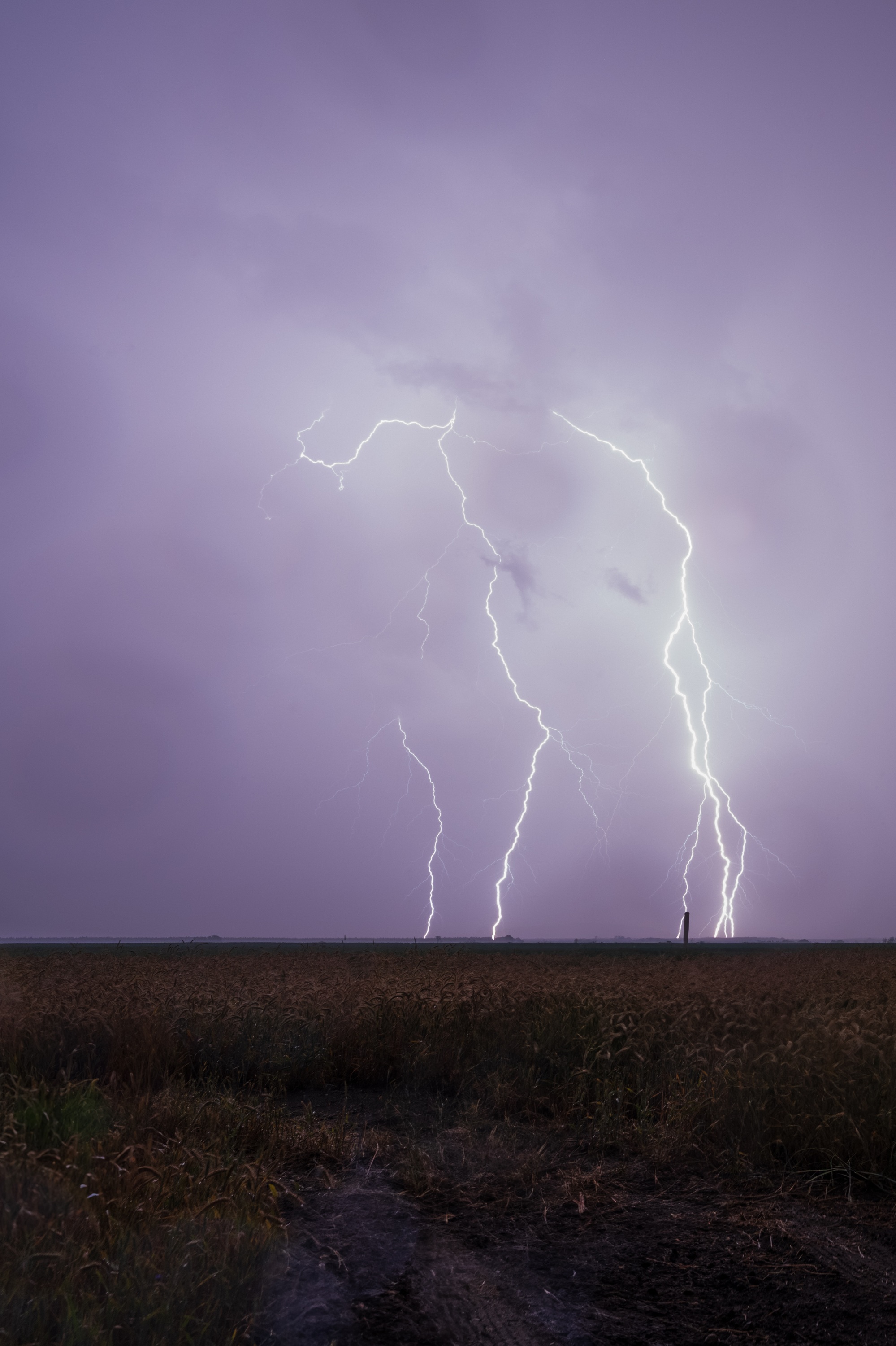 Greater Poland Voivodeship, Poland