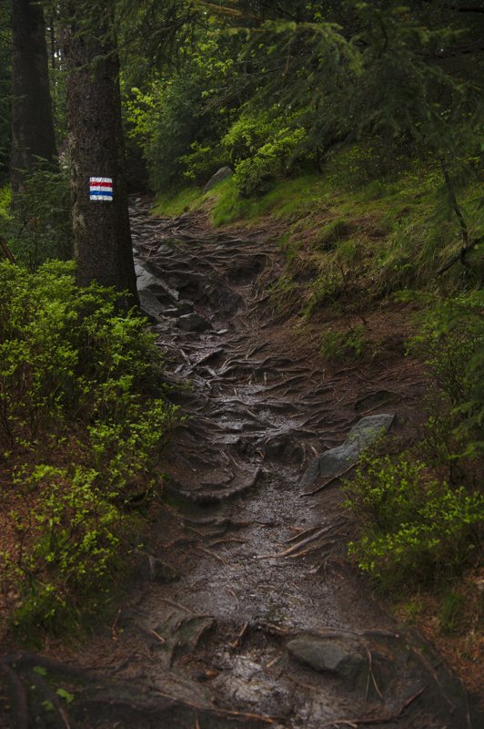 Kotlina Kłodzka, Poland
