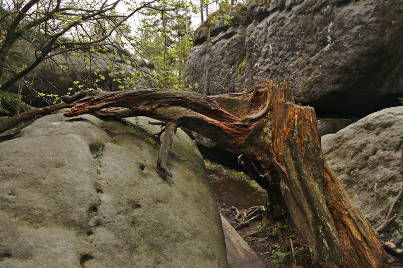 Błędne Skały, Poland