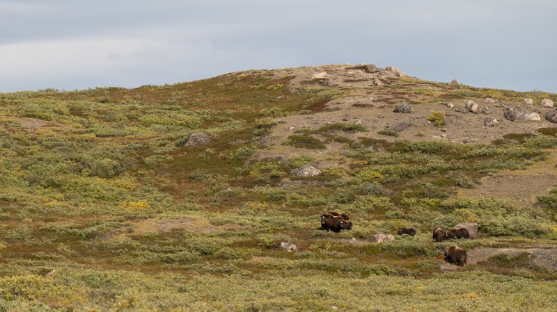 Kangerlussuaq, Greenland