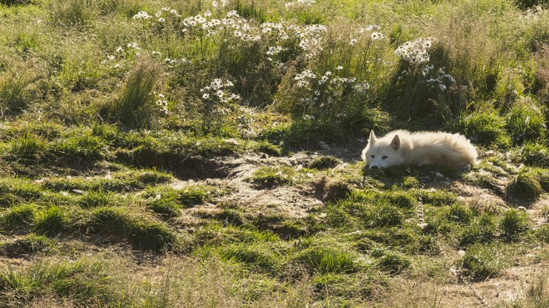 Ilulissat, Greenland