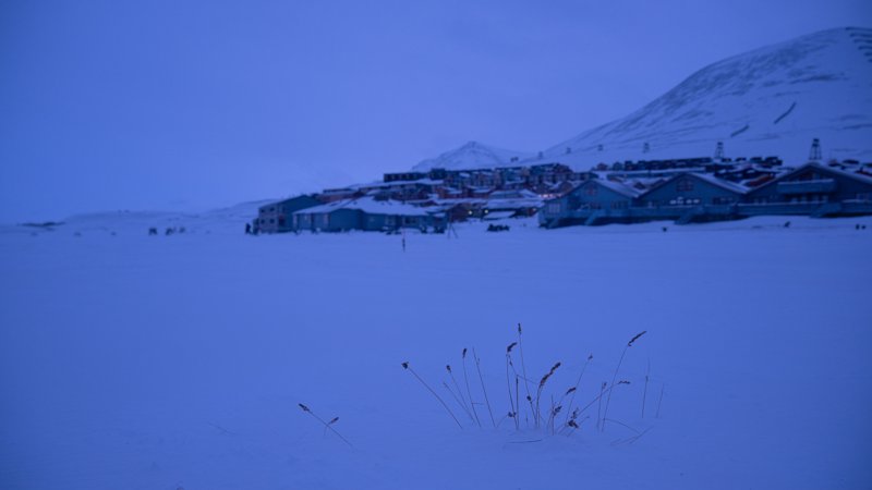 Spitsbergen, Svalbard