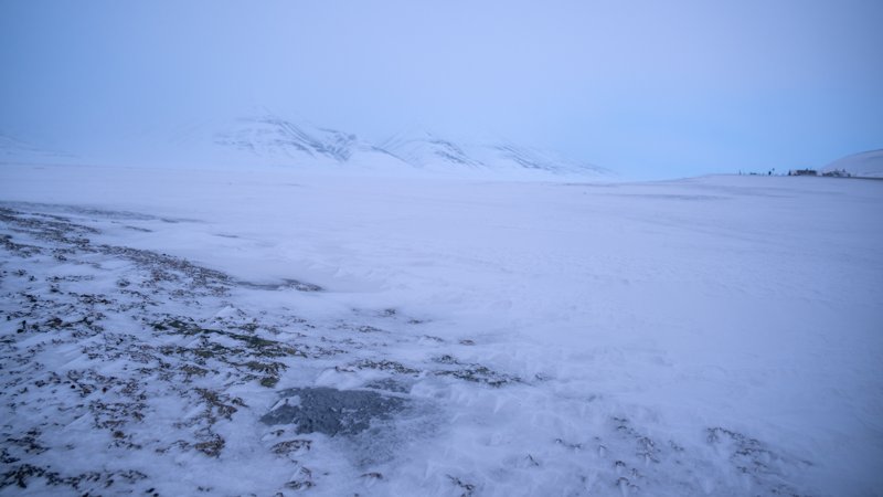 Spitsbergen, Svalbard