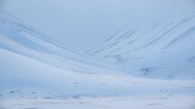 Spitsbergen, Svalbard