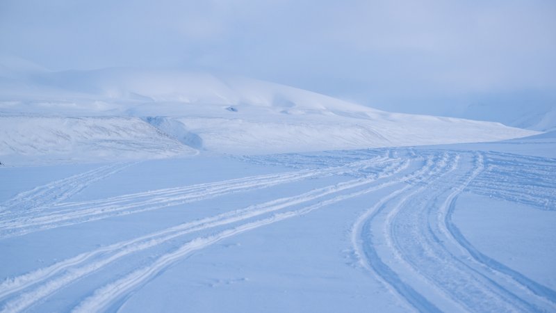 Spitsbergen, Svalbard