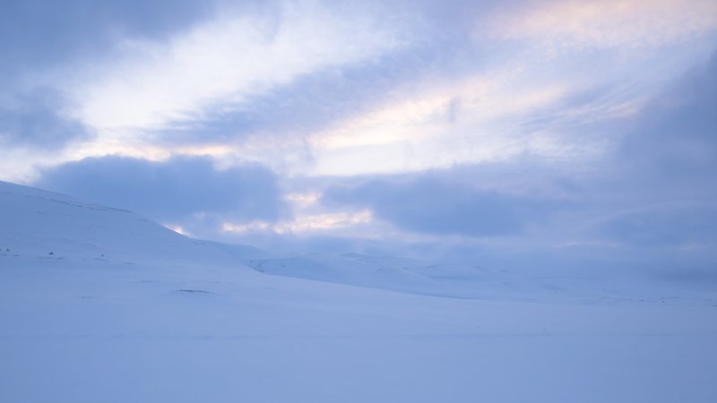 Spitsbergen, Svalbard