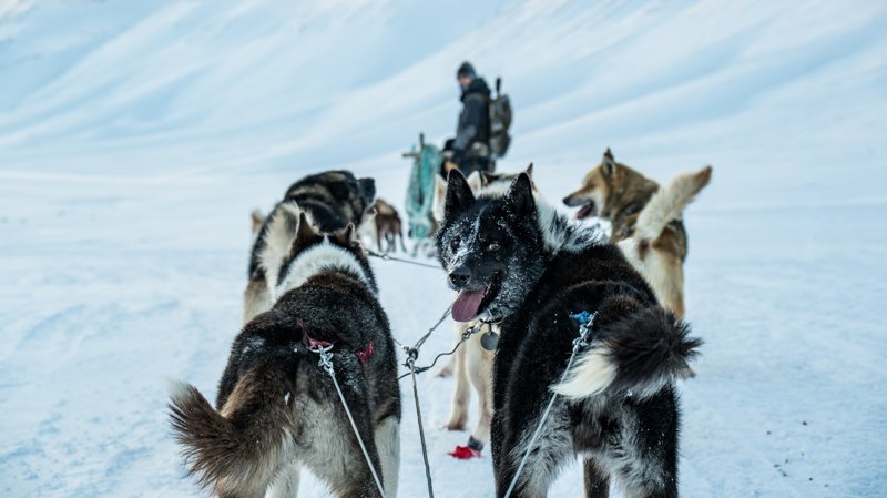 Spitsbergen, Svalbard