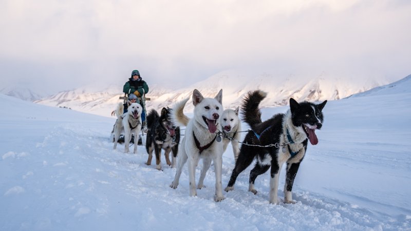 Spitsbergen, Svalbard
