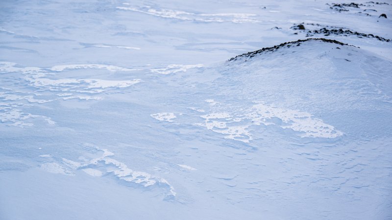 Spitsbergen, Svalbard