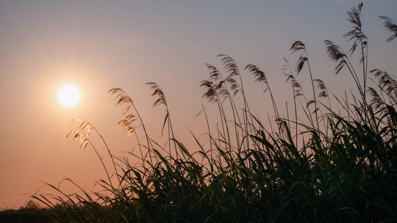 Szczecin Lagoon, Poland