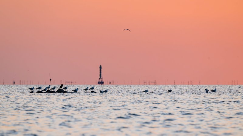 Szczecin Lagoon, Poland