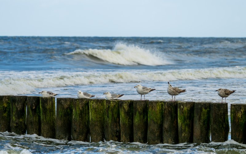 Ustronie Morskie, Poland