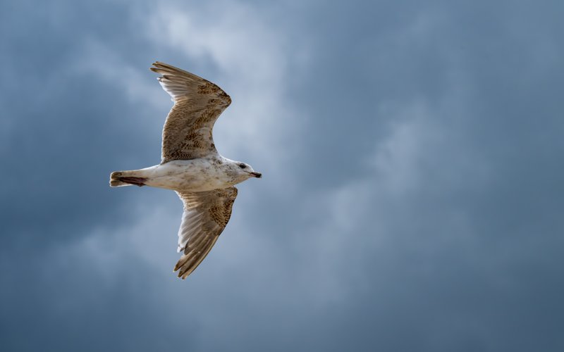 Ustronie Morskie, Poland