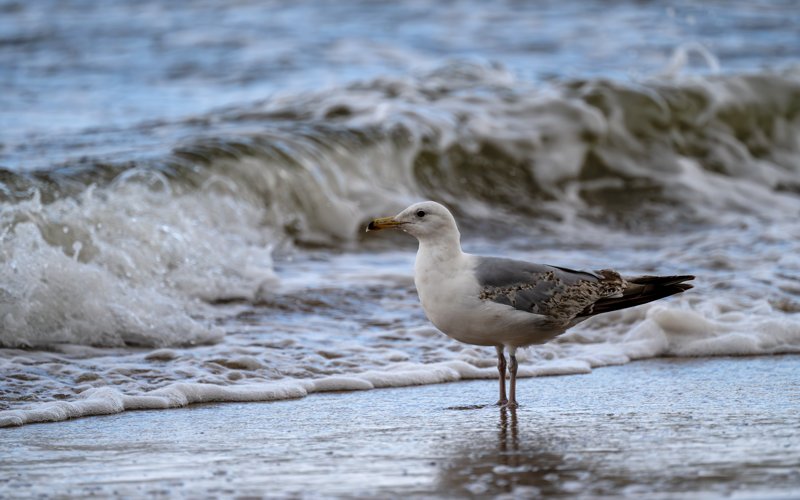 Ustronie Morskie, Poland