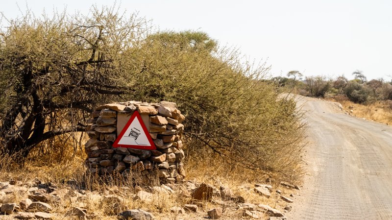 Mashatu Game Reserve, Botswana